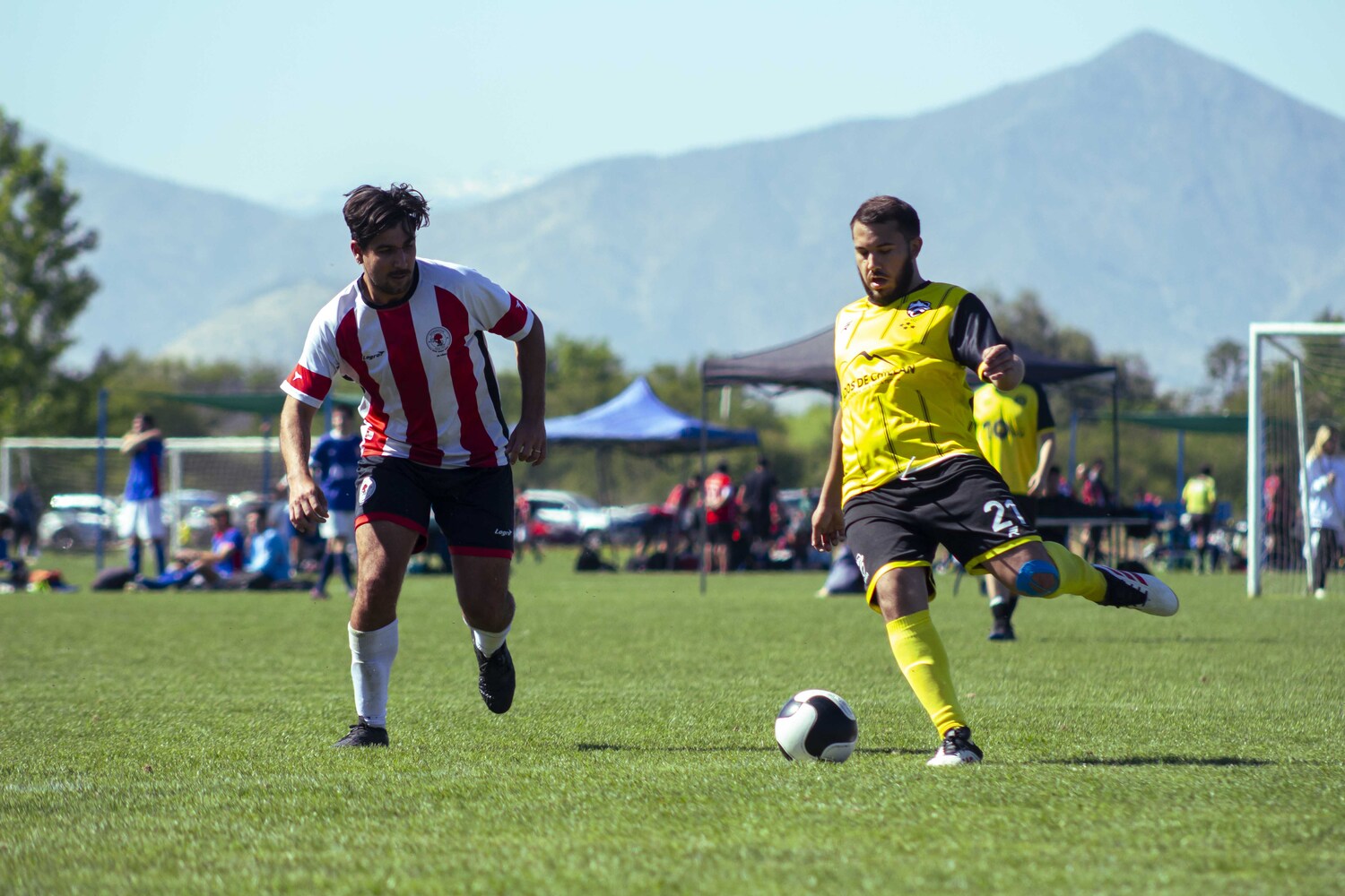 _MG_1116.jpg