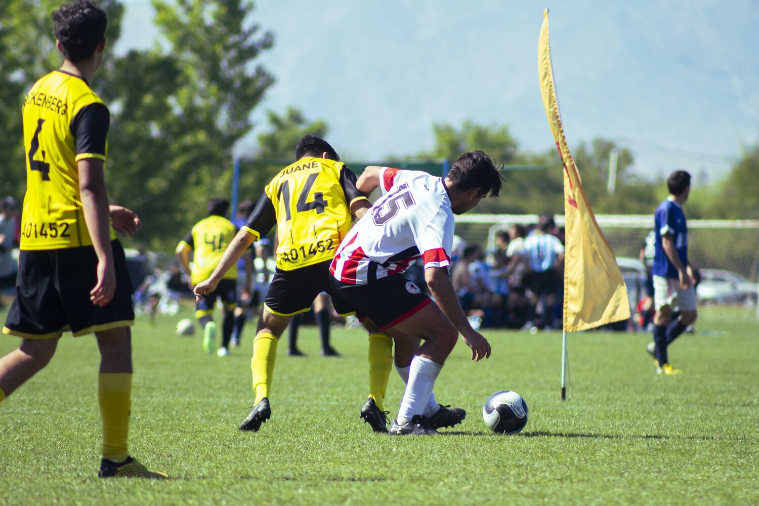 _MG_1125.jpg
