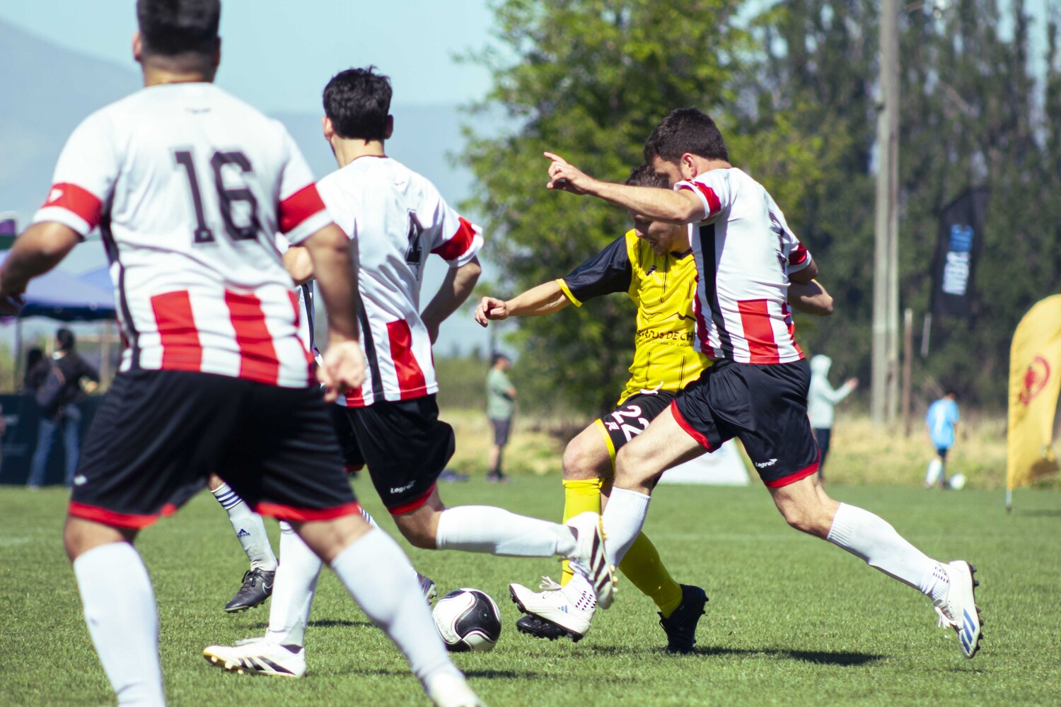 _MG_1135.jpg