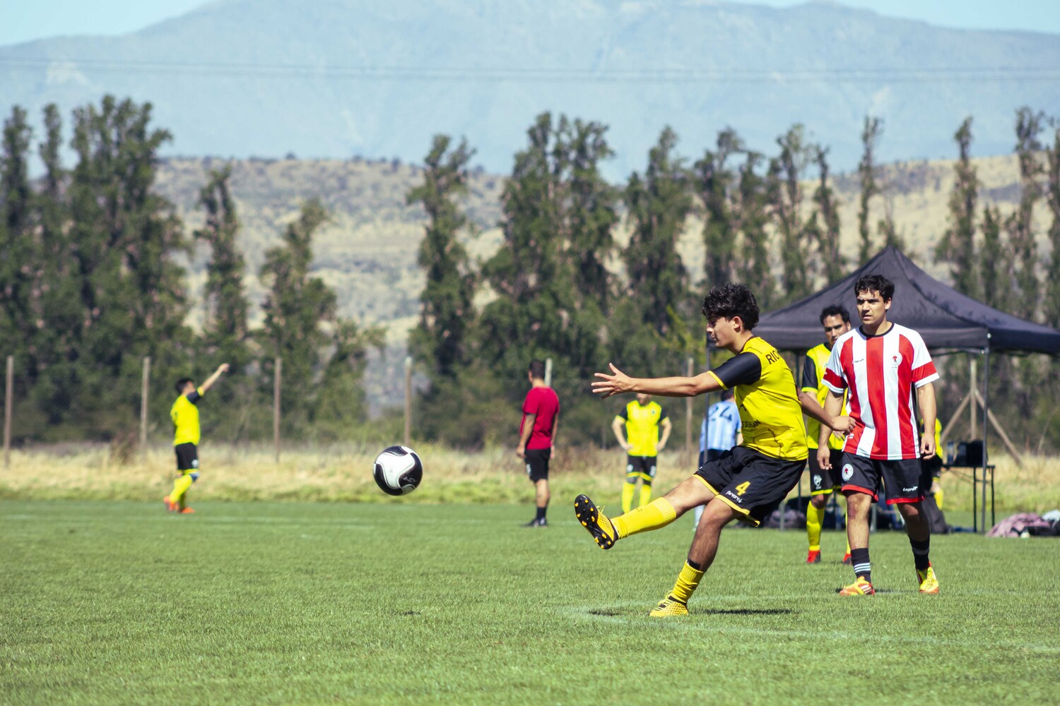 _MG_1138.jpg