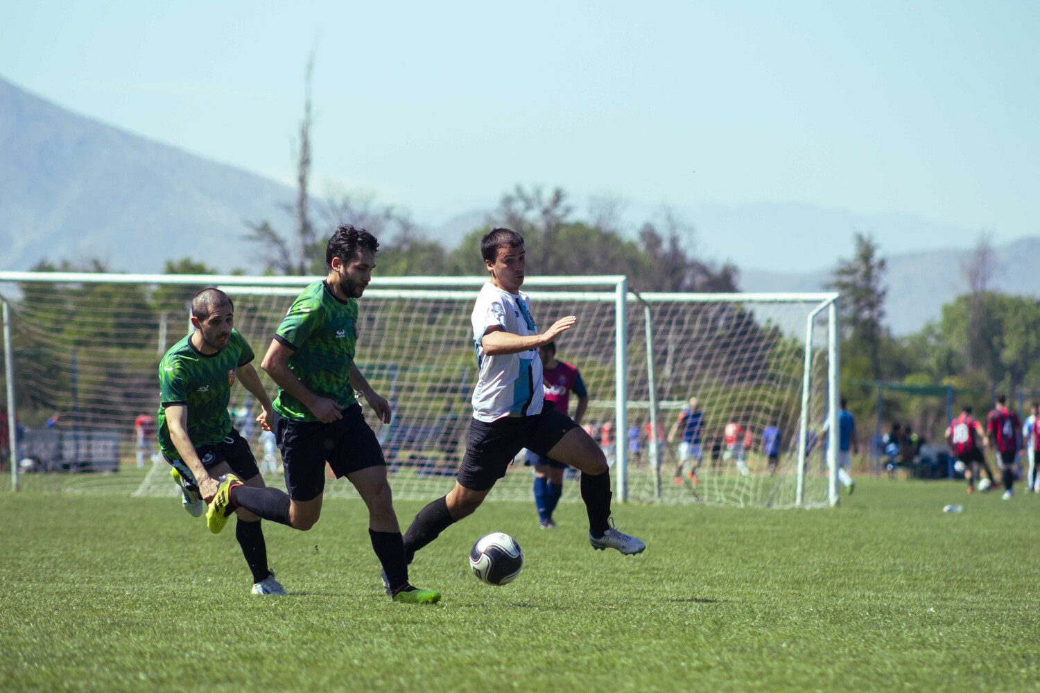 _MG_1184.jpg