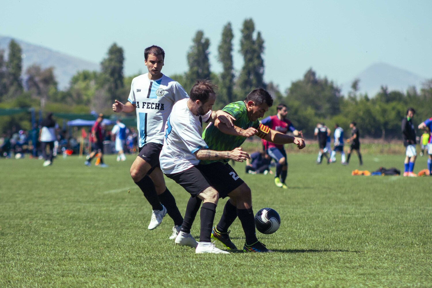 _MG_1210.jpg