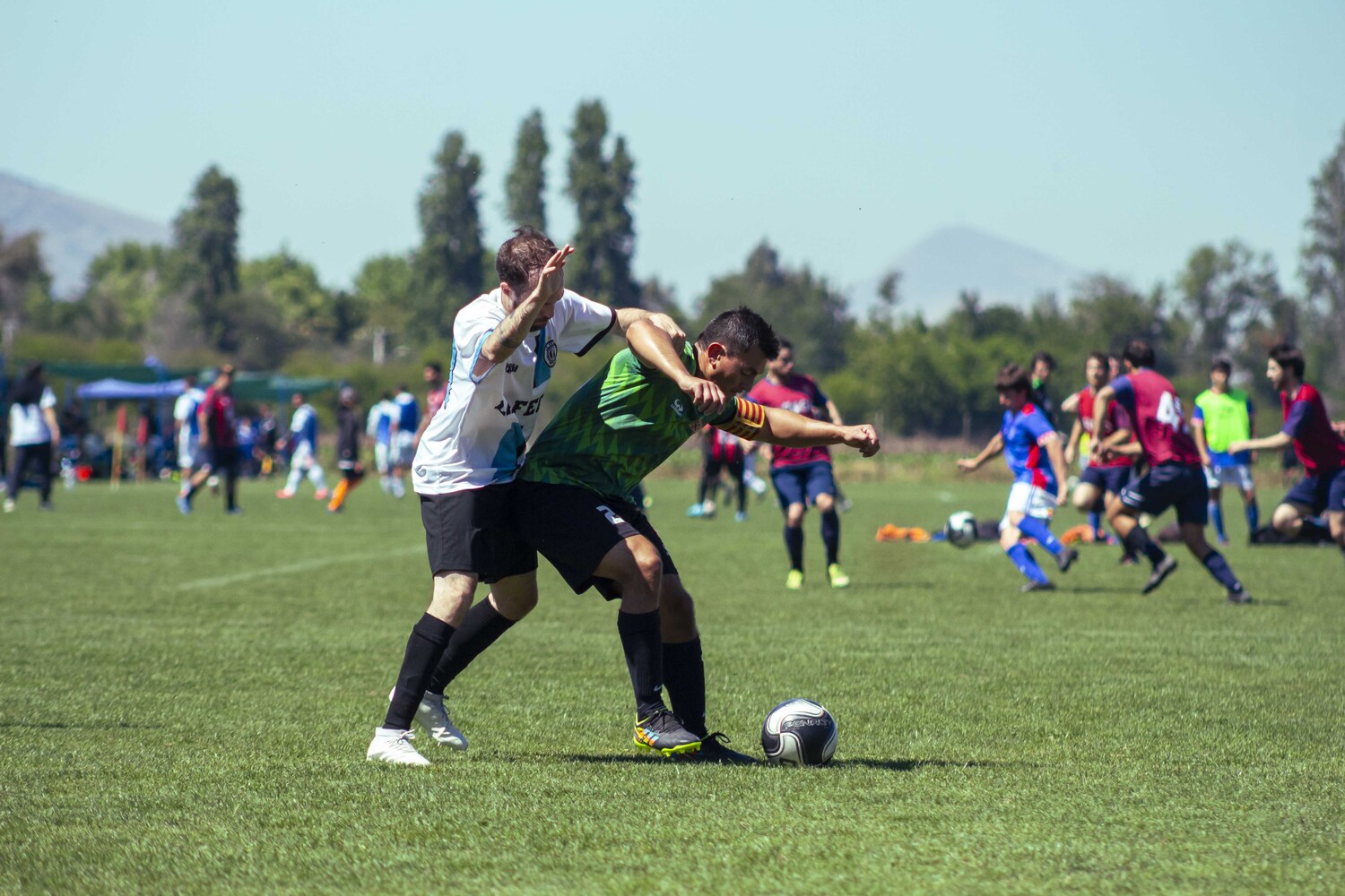 _MG_1211.jpg