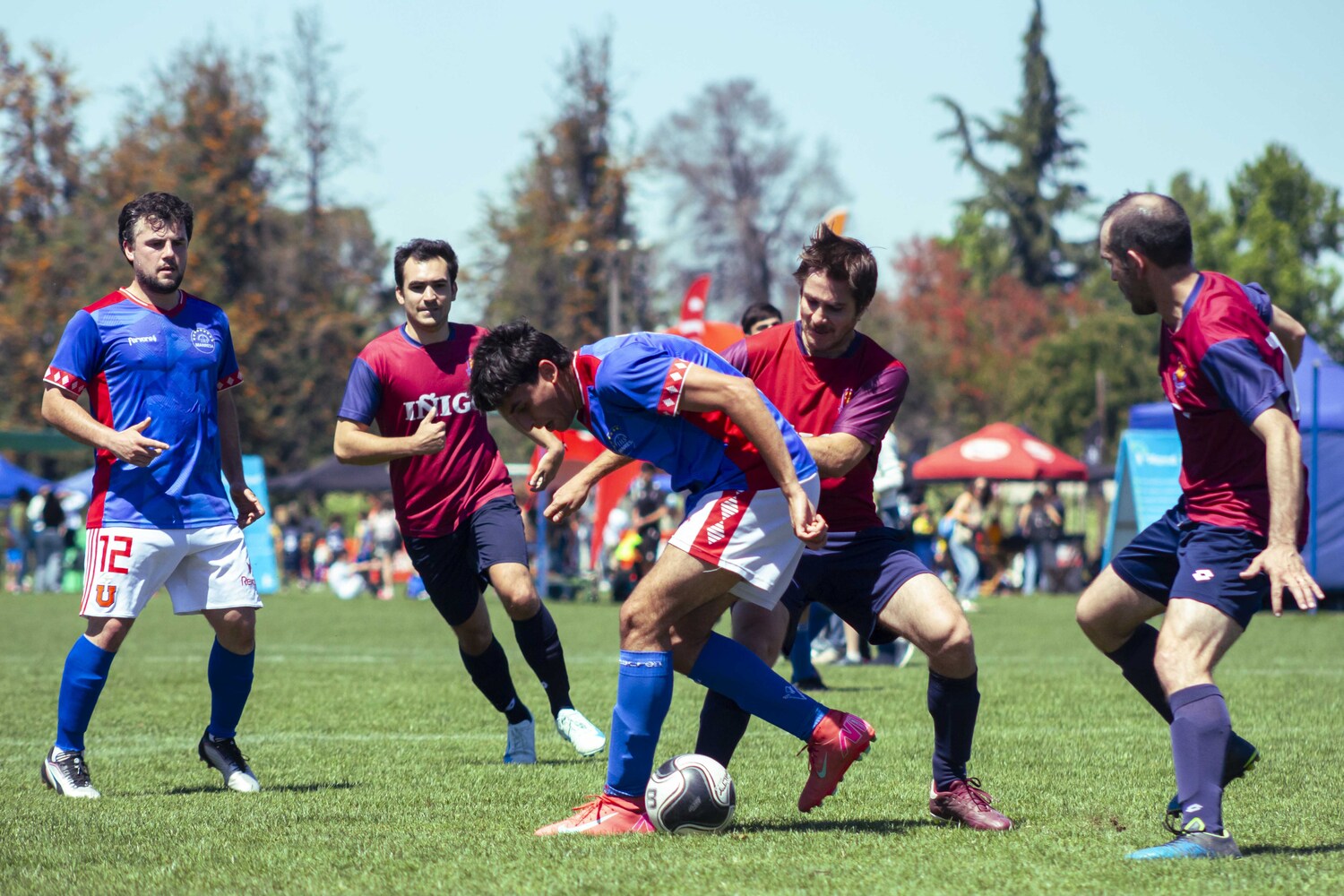 _MG_1260.jpg