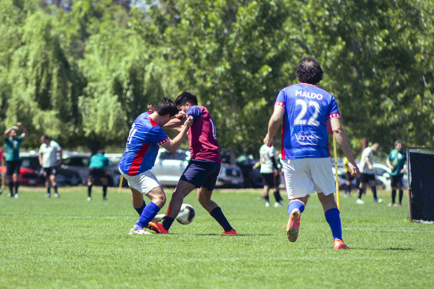 _MG_1262.jpg