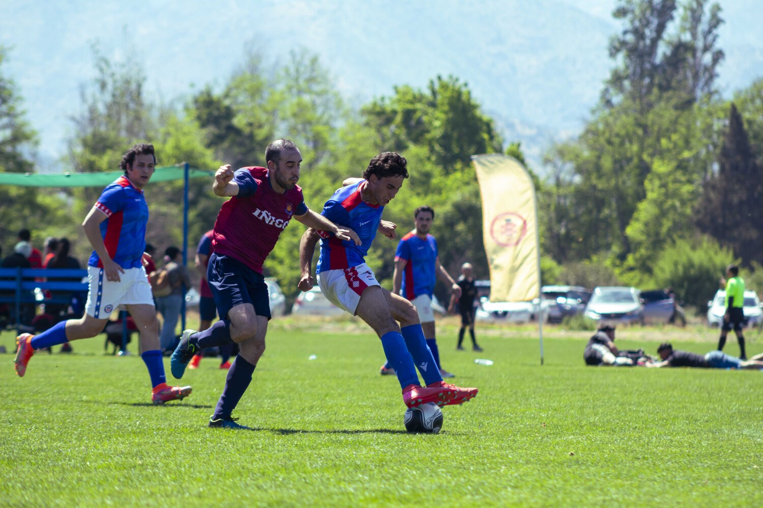 _MG_1271.jpg