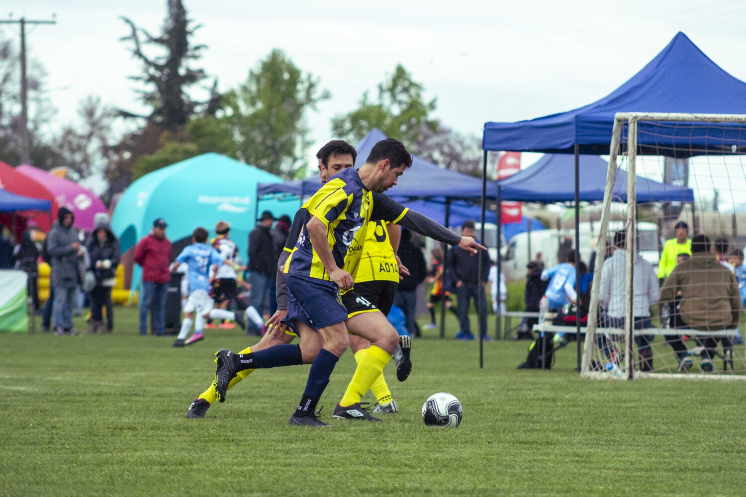 _MG_9983.jpg