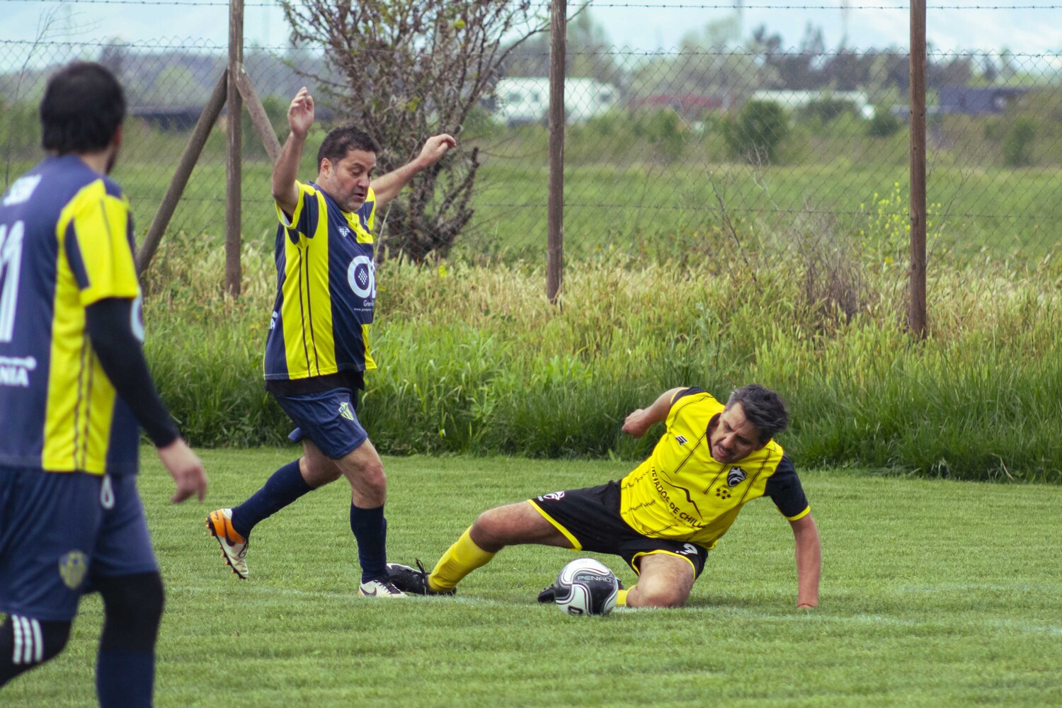 _MG_9989.jpg