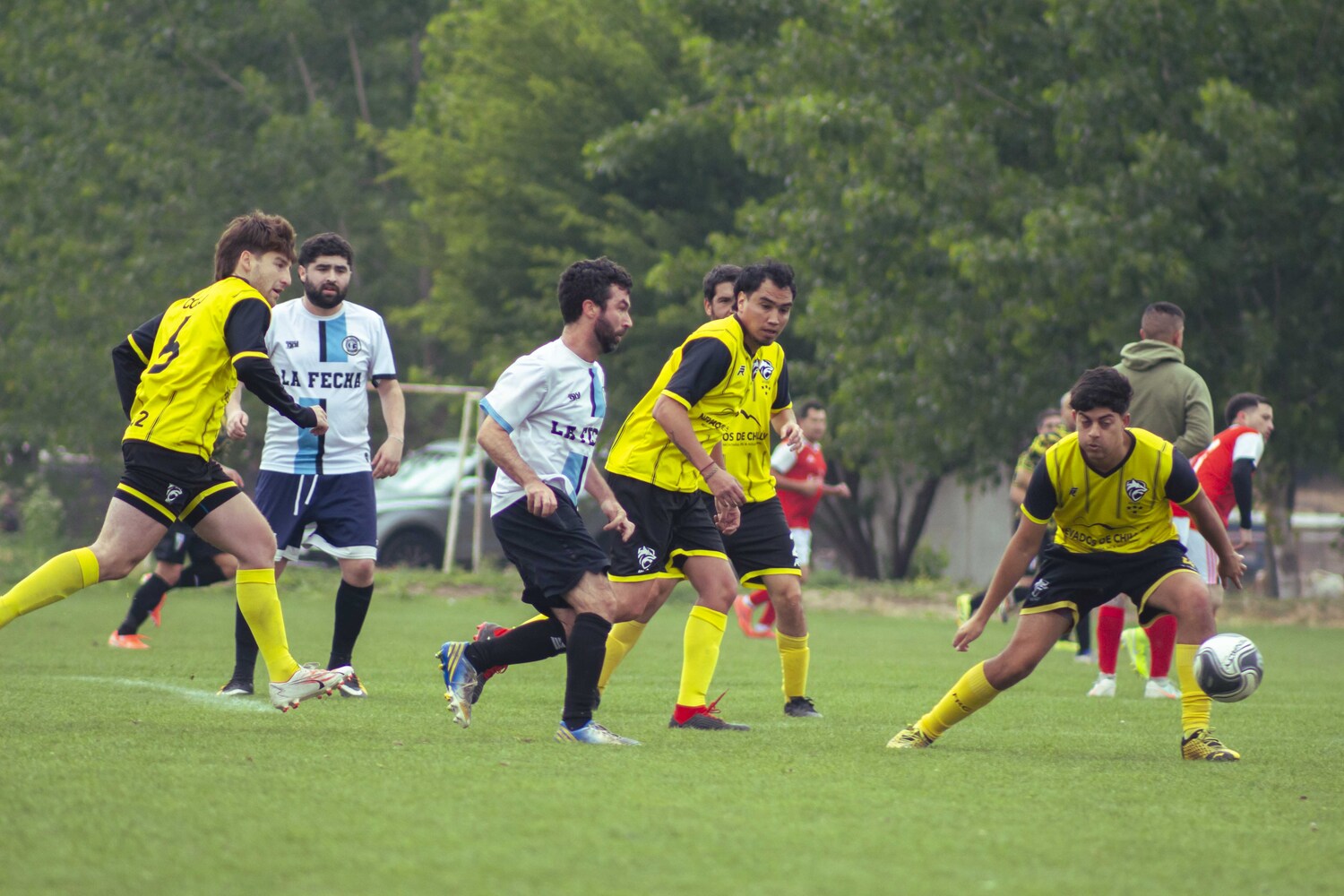 _MG_1717.jpg