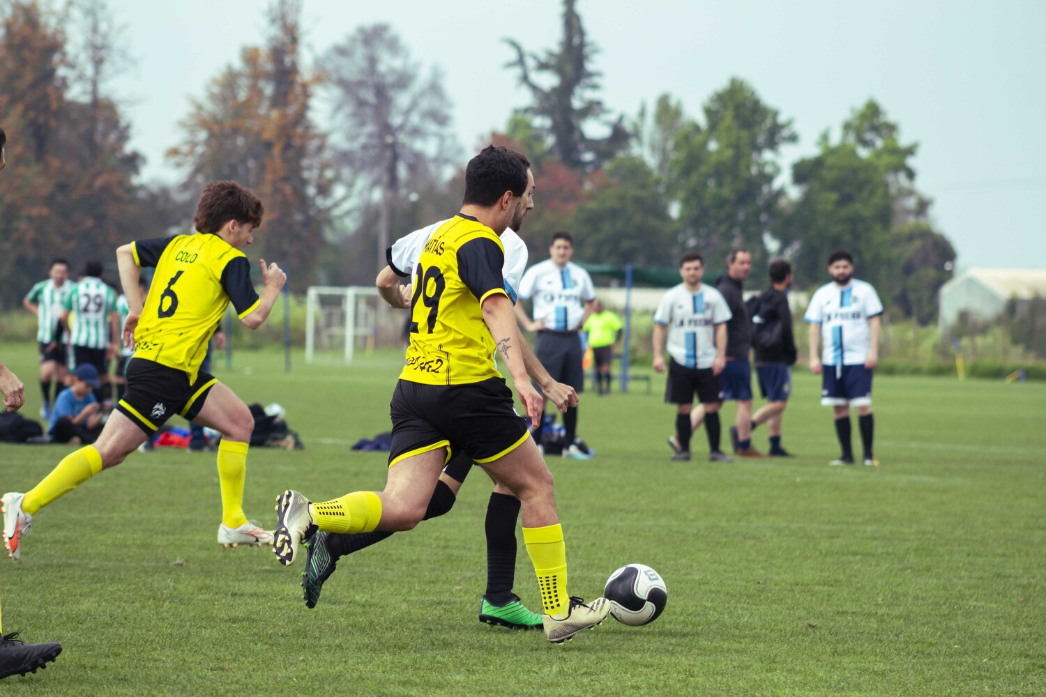 _MG_1733.jpg