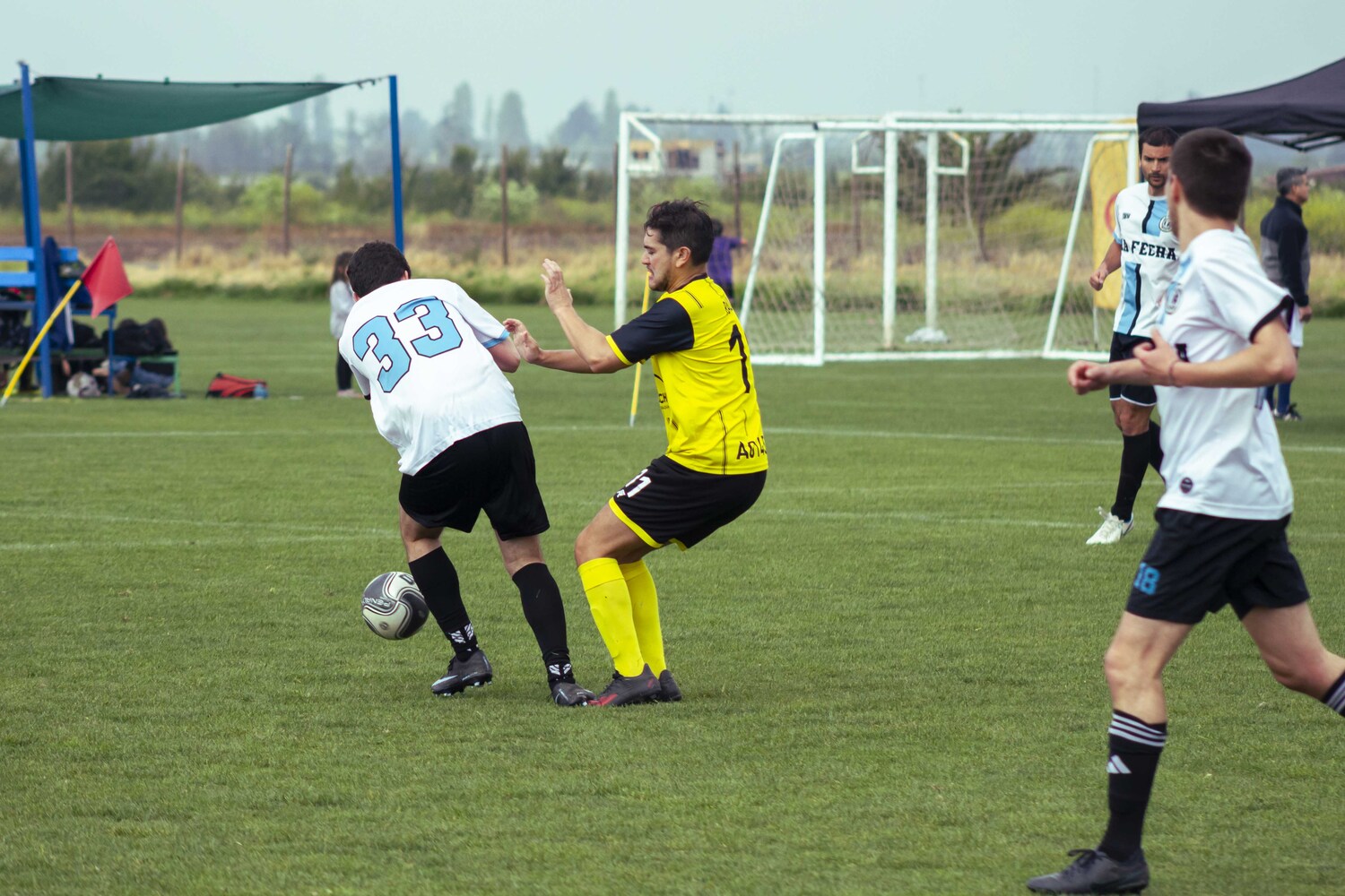 _MG_1736.jpg