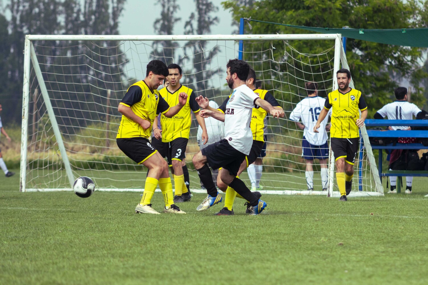_MG_1745.jpg