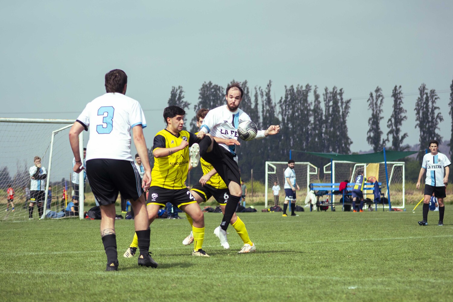 _MG_1753.jpg