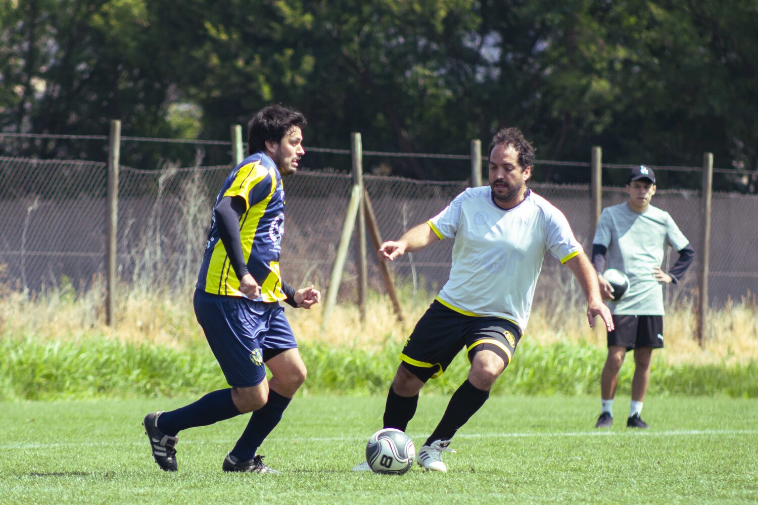 _MG_1834.jpg