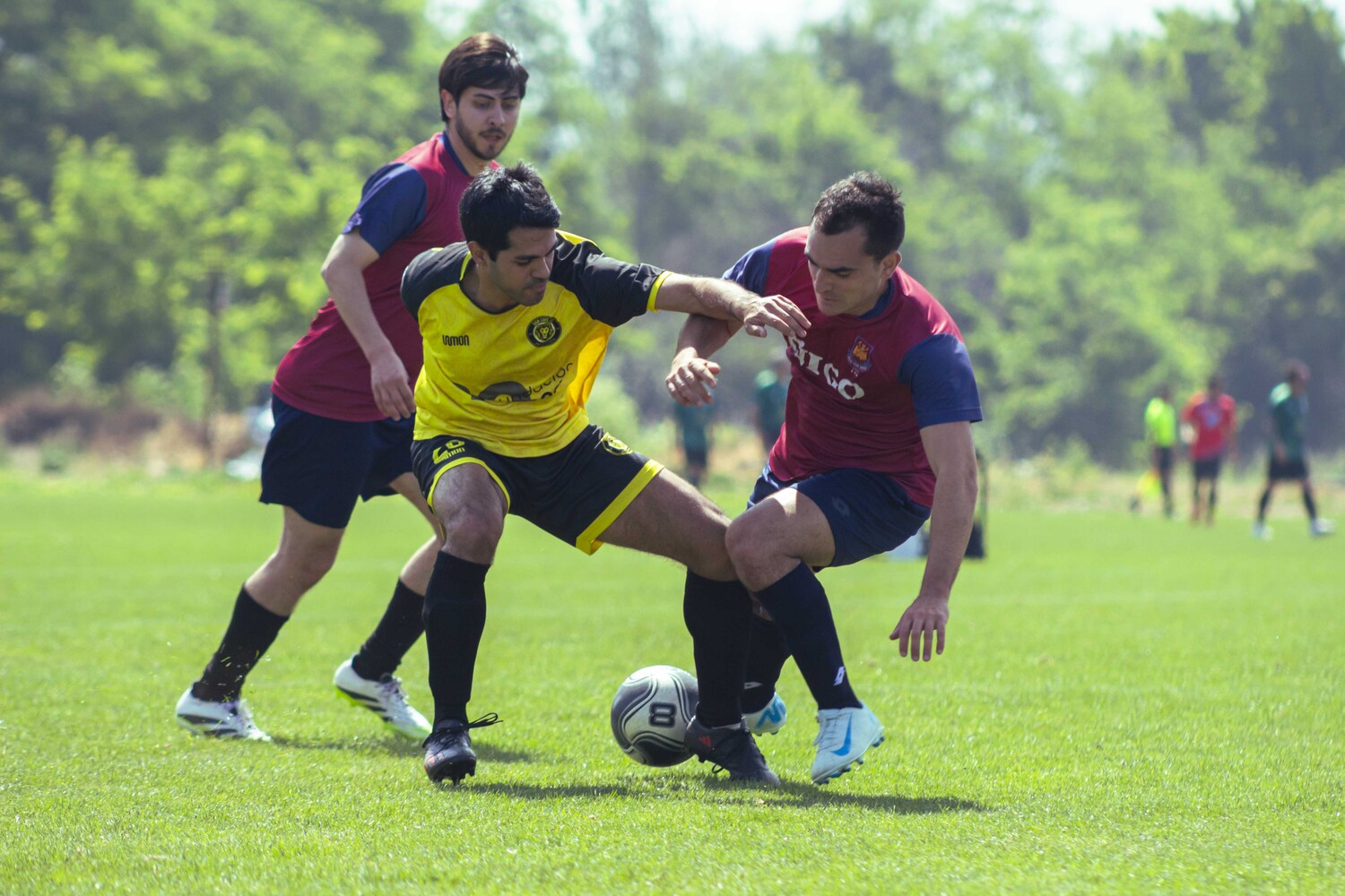 _MG_1846.jpg