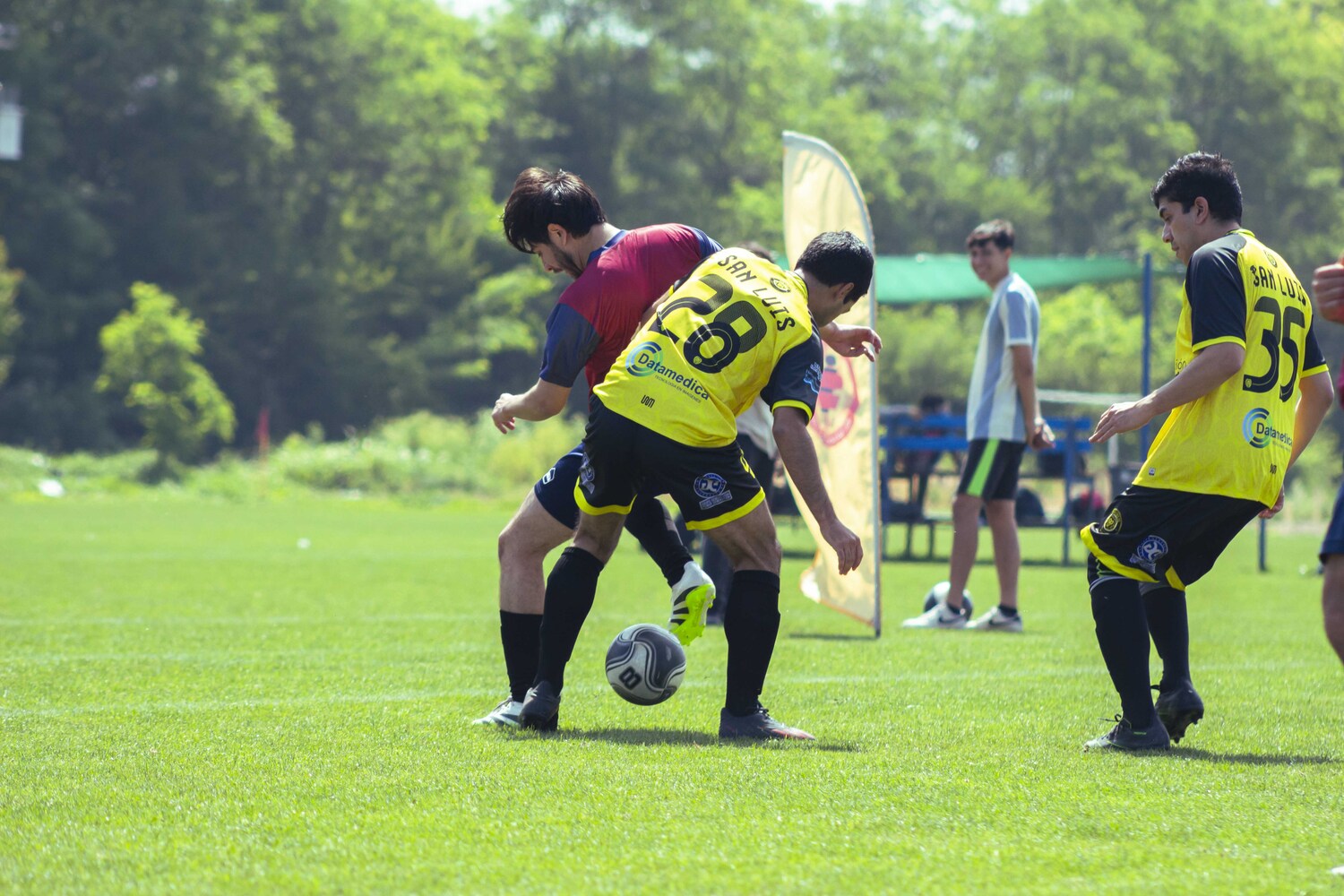 _MG_1848.jpg