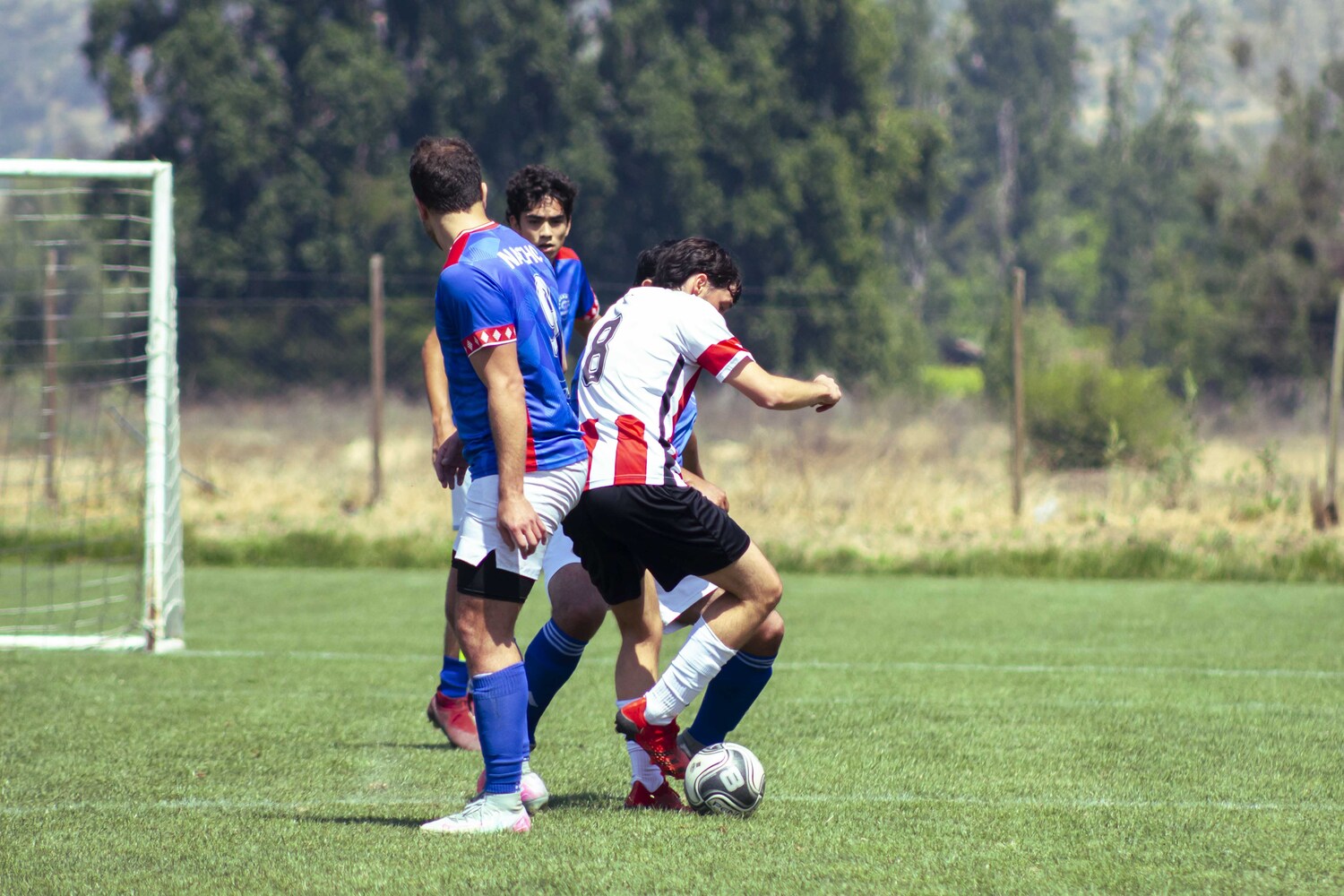 _MG_1889.jpg