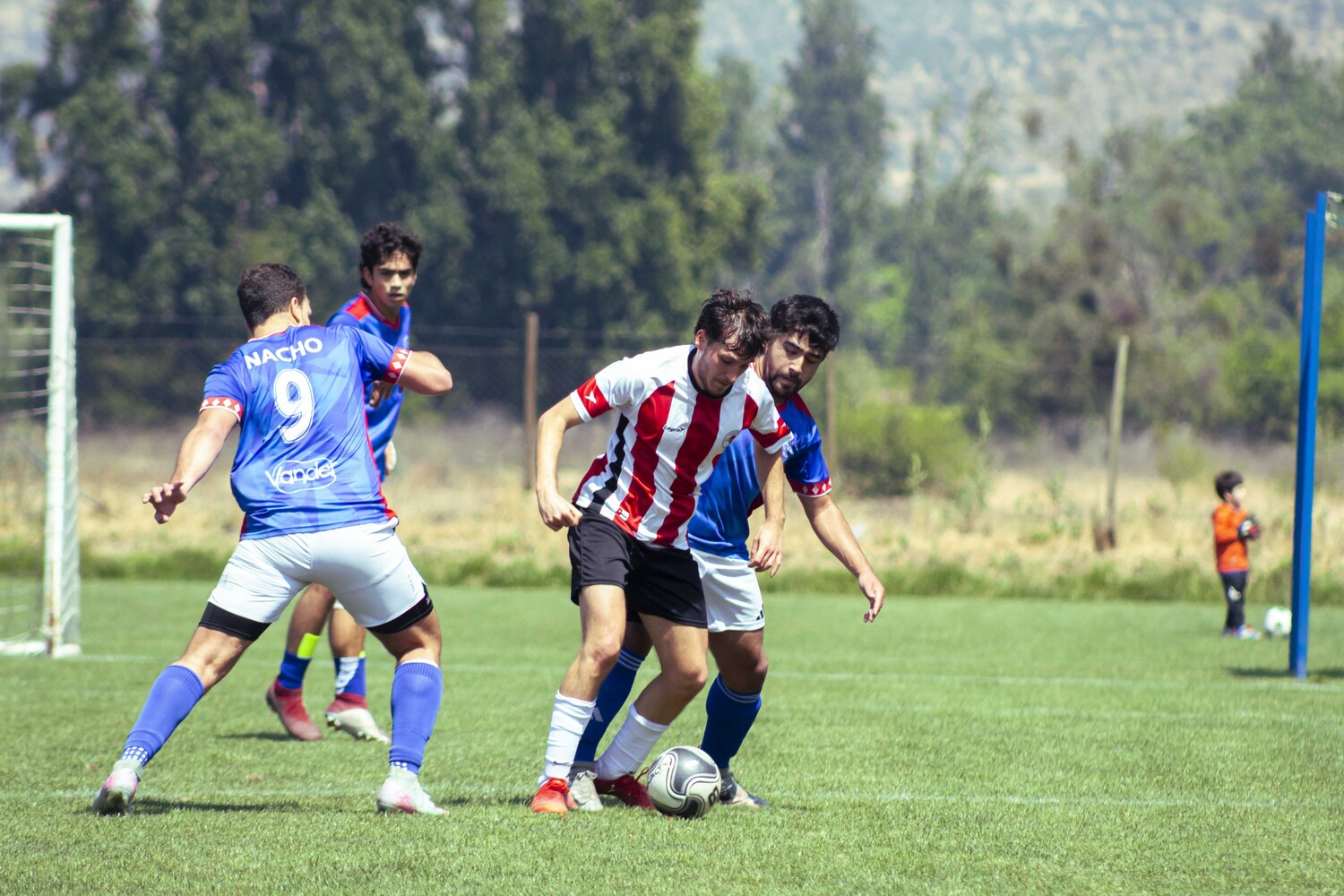 _MG_1890.jpg