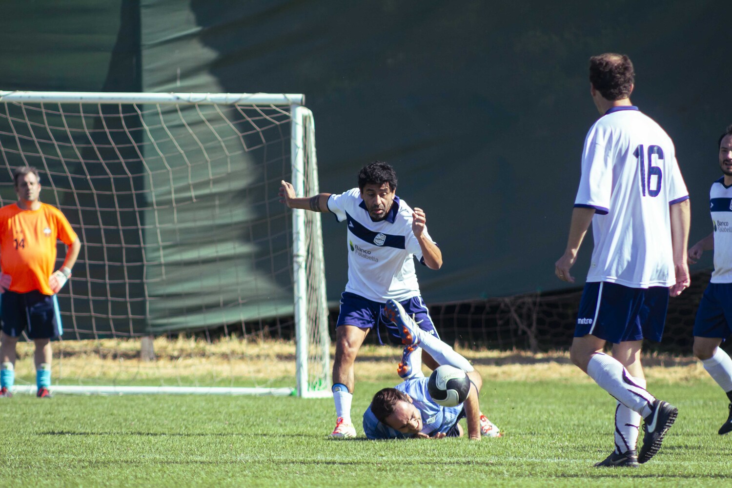 _MG_2339.jpg