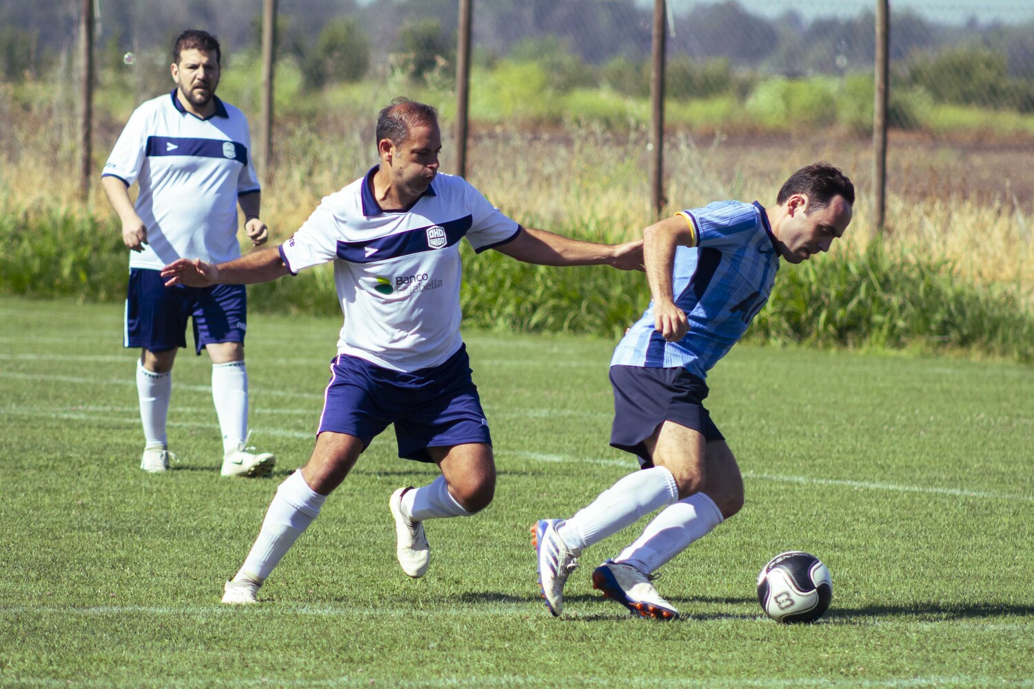 _MG_2368.jpg