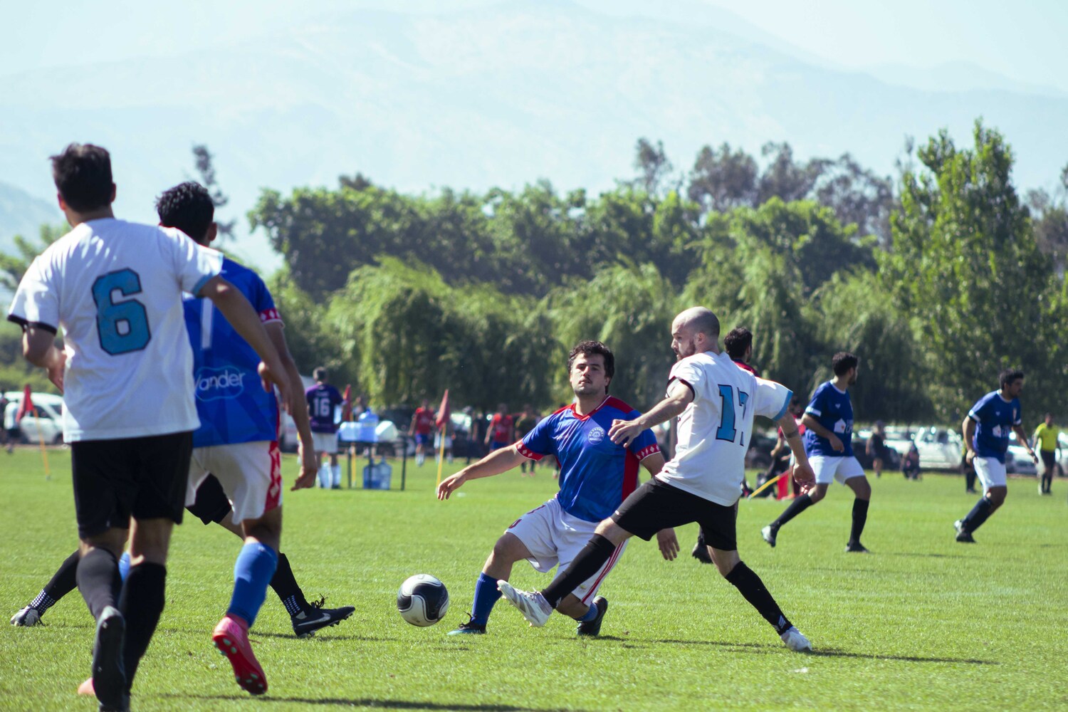 _MG_2384.jpg