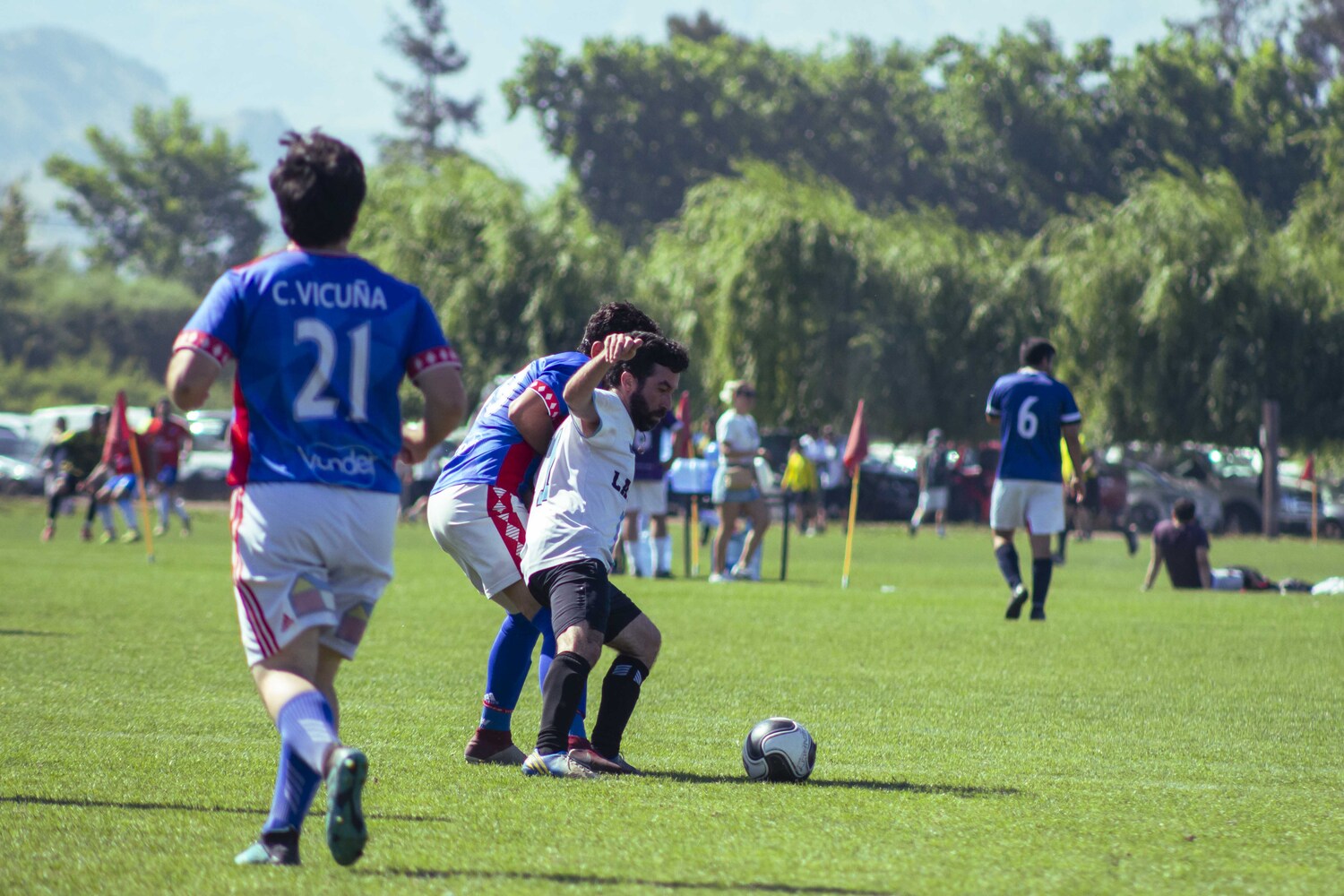 _MG_2385.jpg