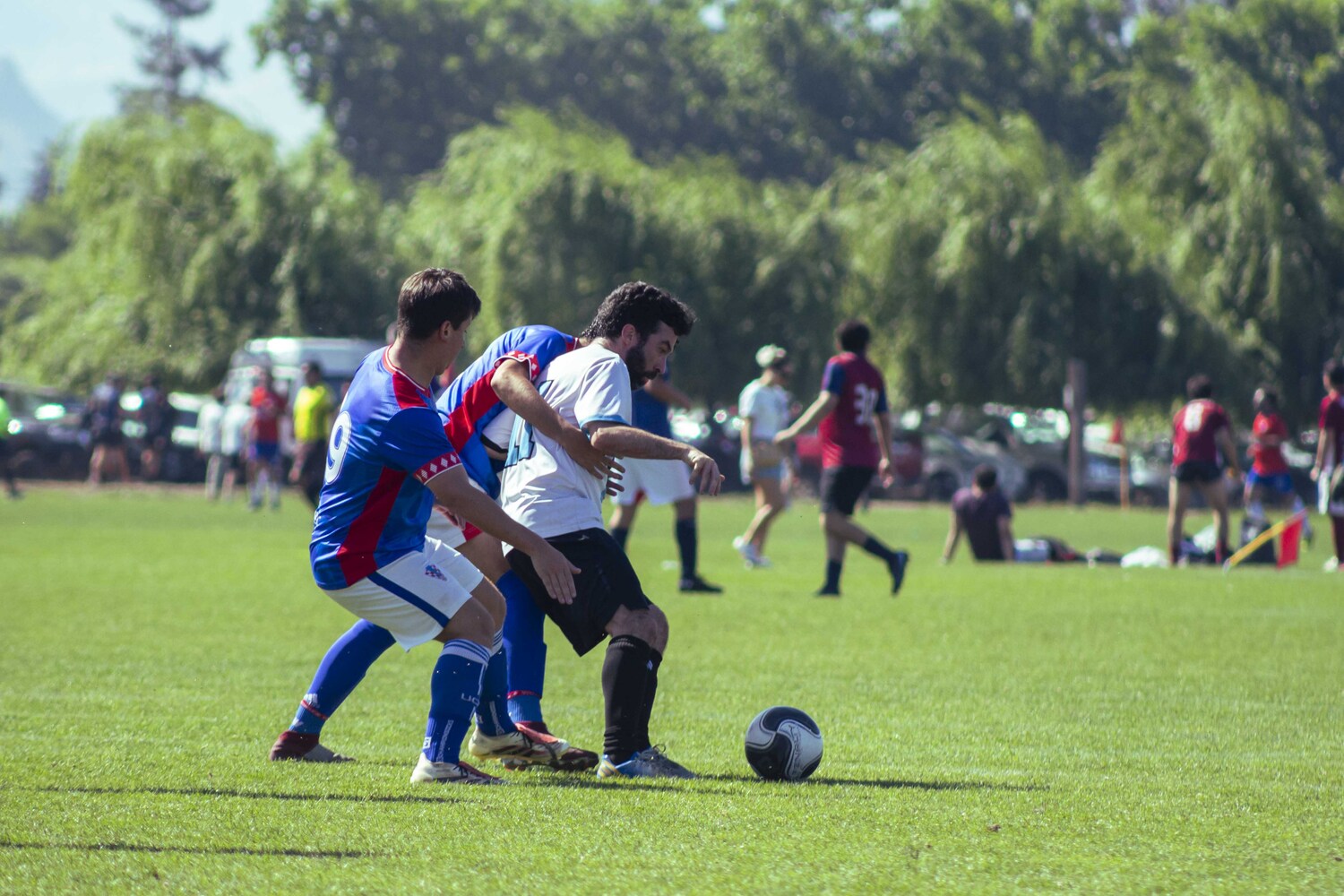 _MG_2387.jpg
