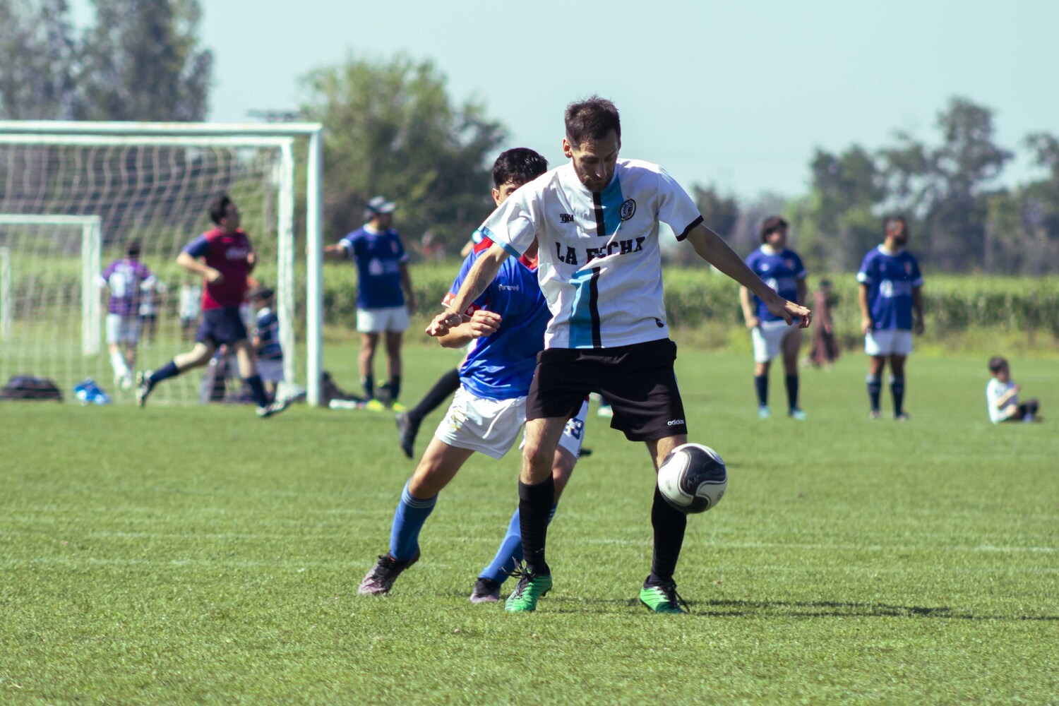 _MG_2402.jpg