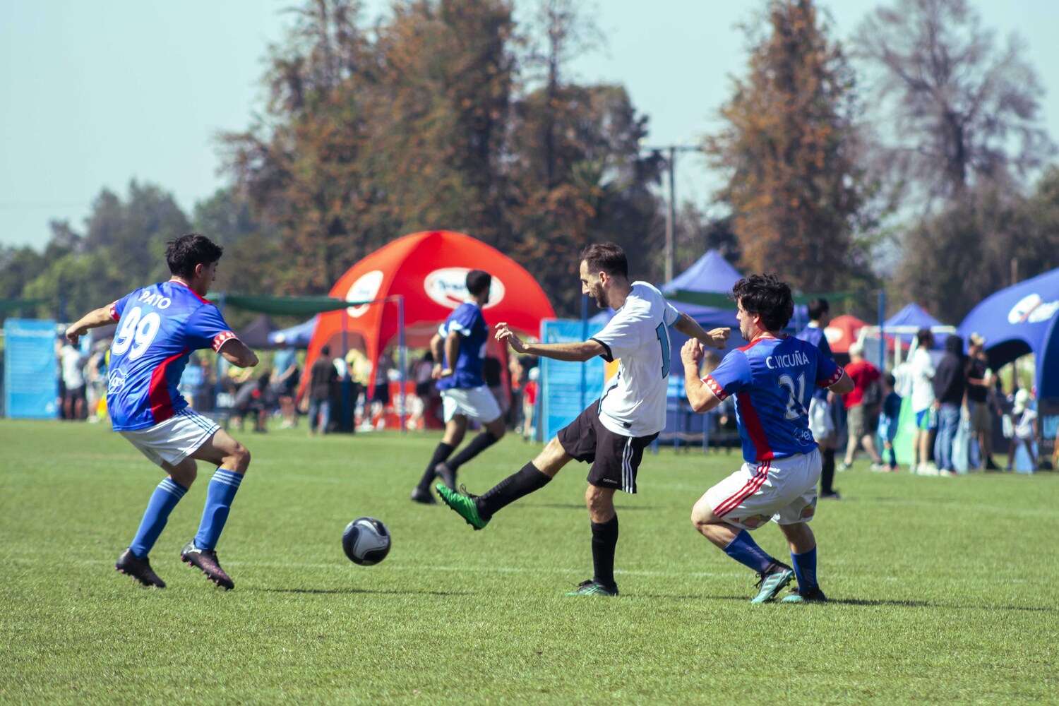 _MG_2403.jpg