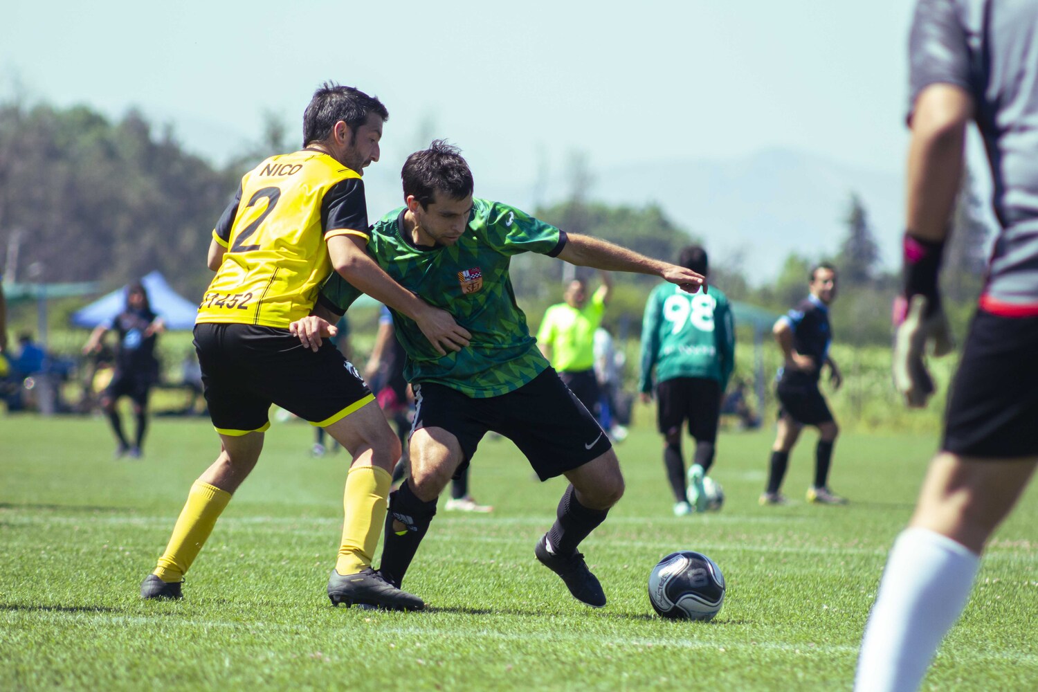 _MG_2524.jpg