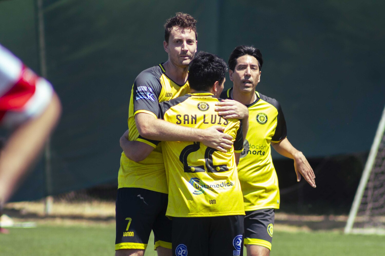 _MG_2553.jpg
