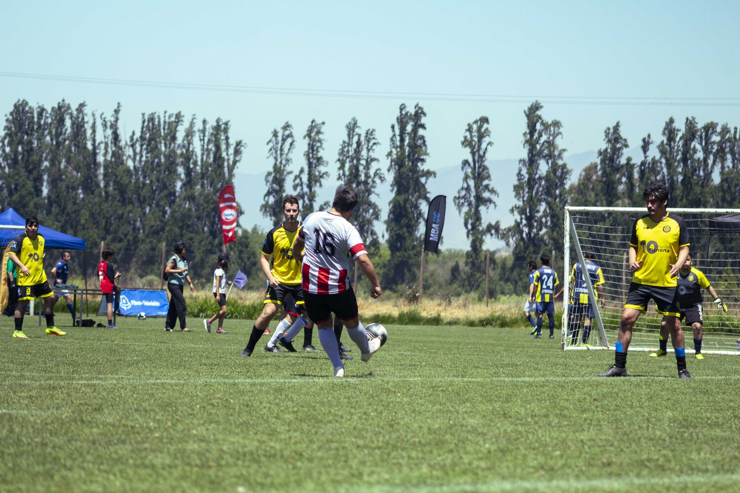 _MG_2569.jpg