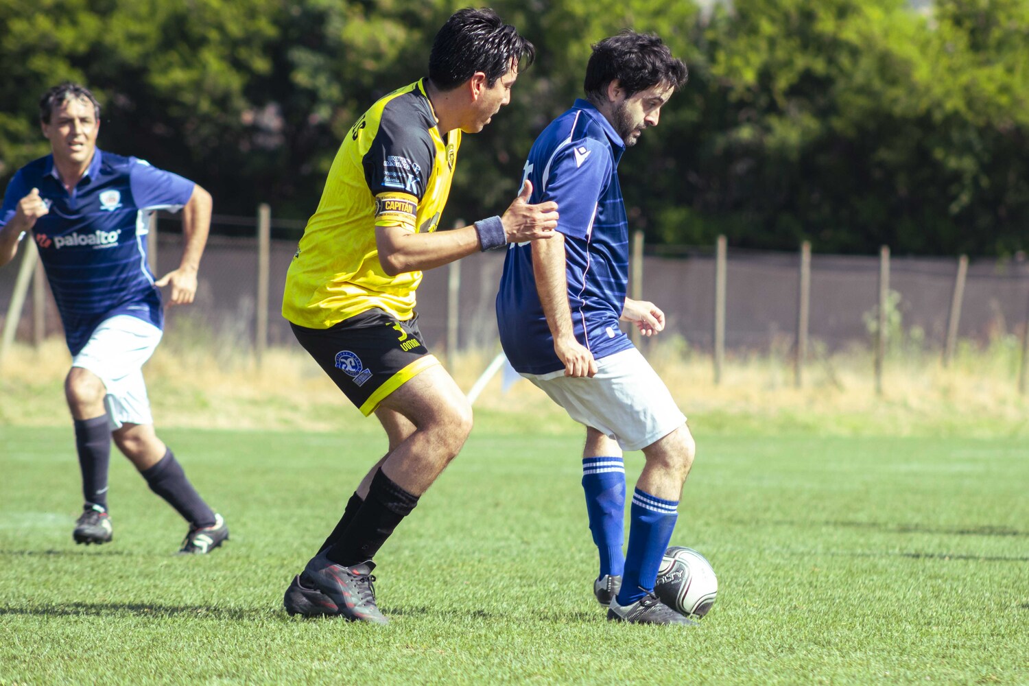 _MG_3040.jpg