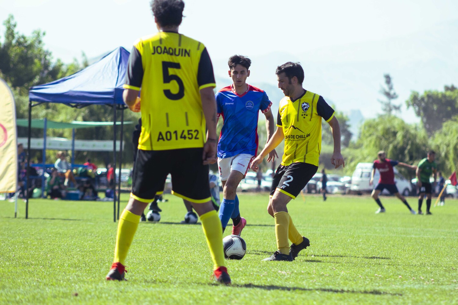 _MG_3064.jpg