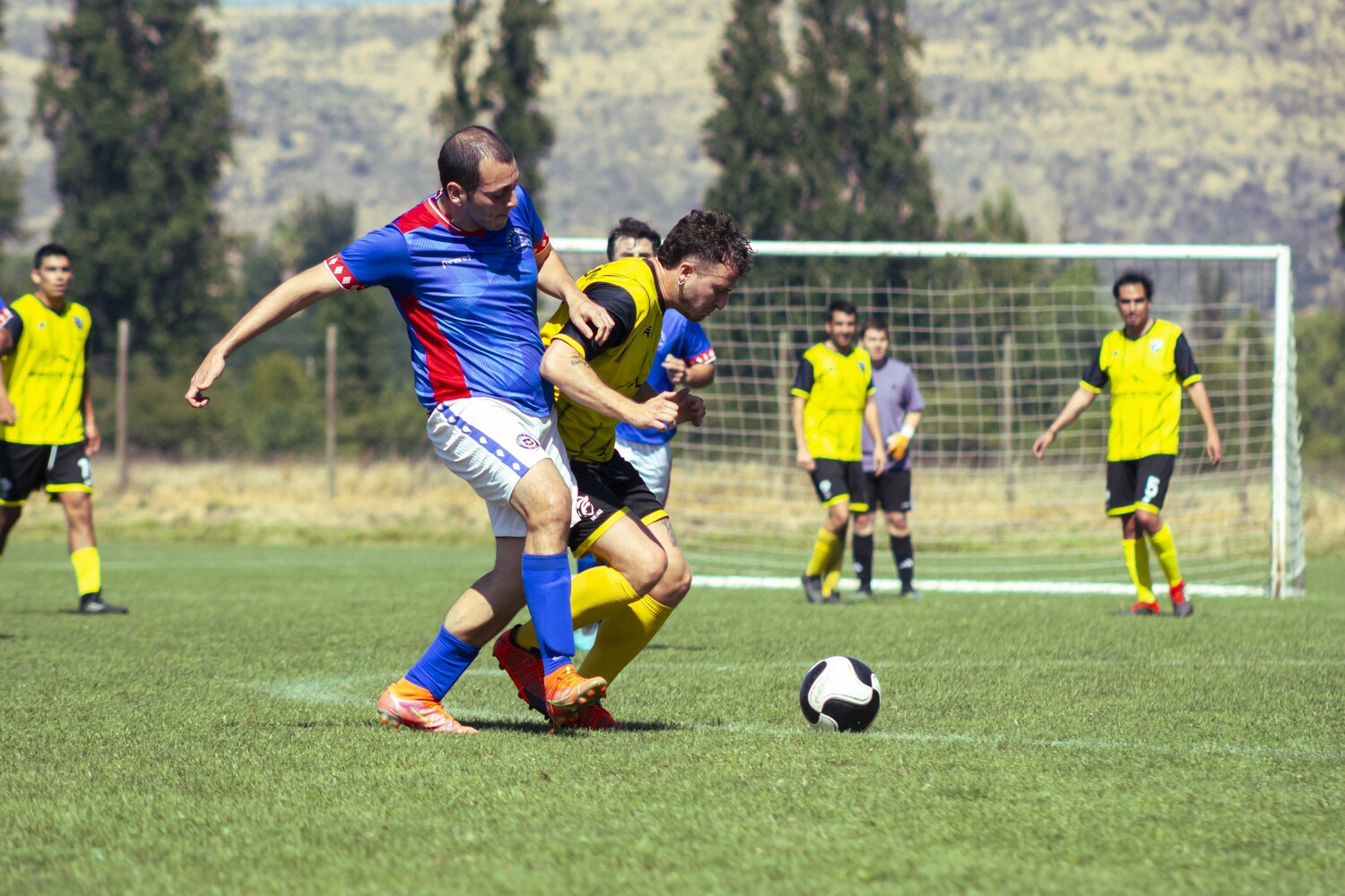 _MG_3098.jpg