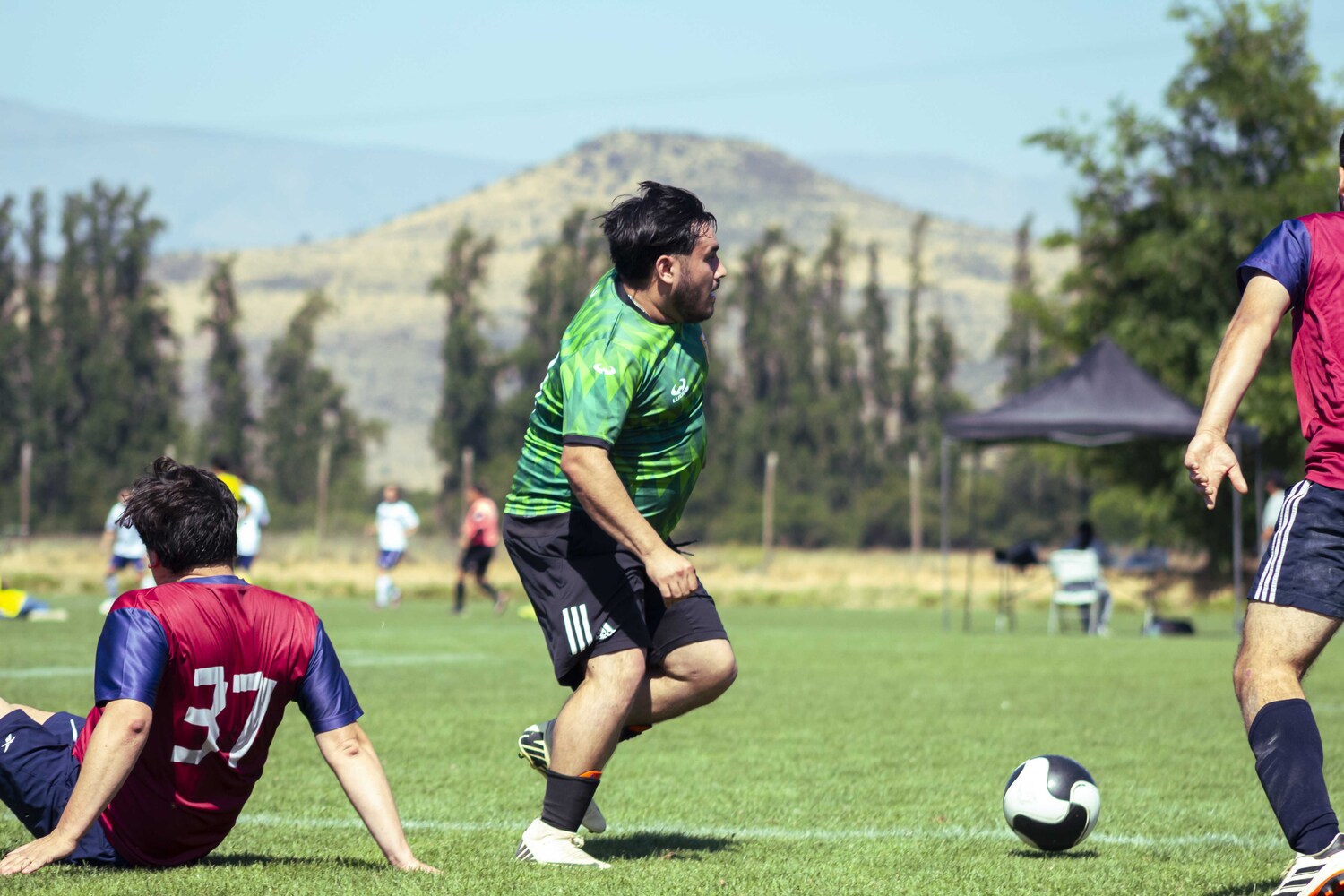 _MG_3120.jpg