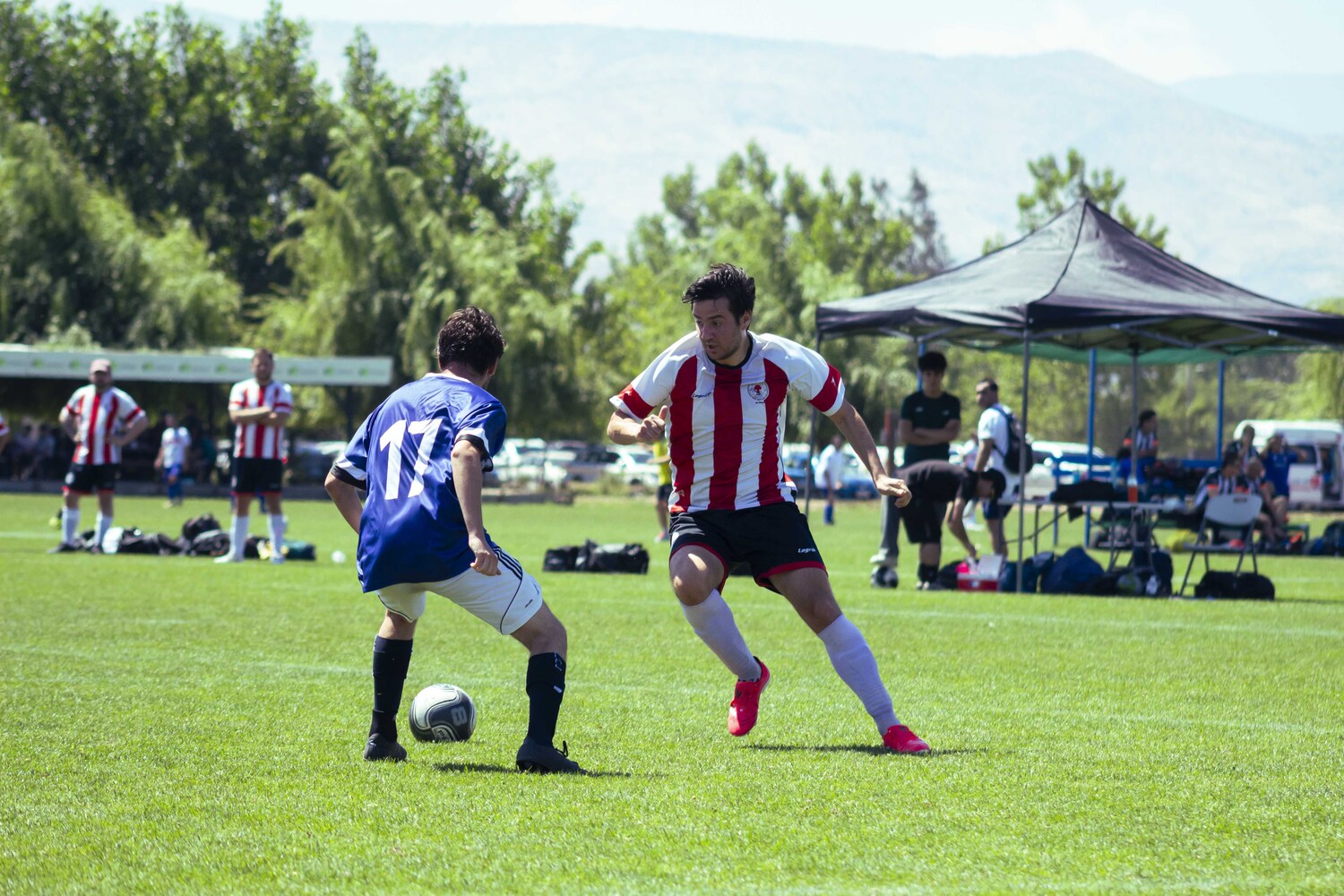 _MG_3207.jpg