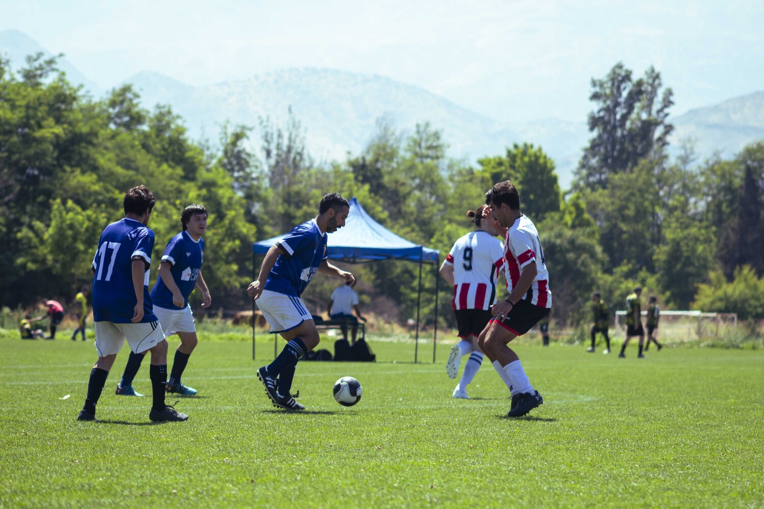 _MG_3217.jpg