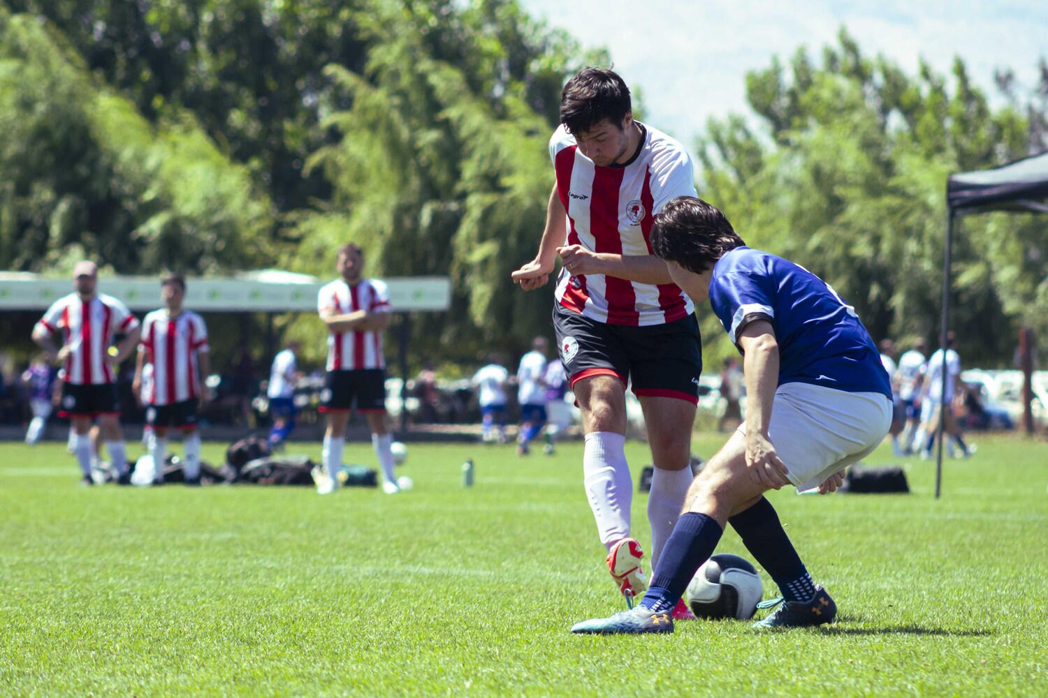 _MG_3218.jpg