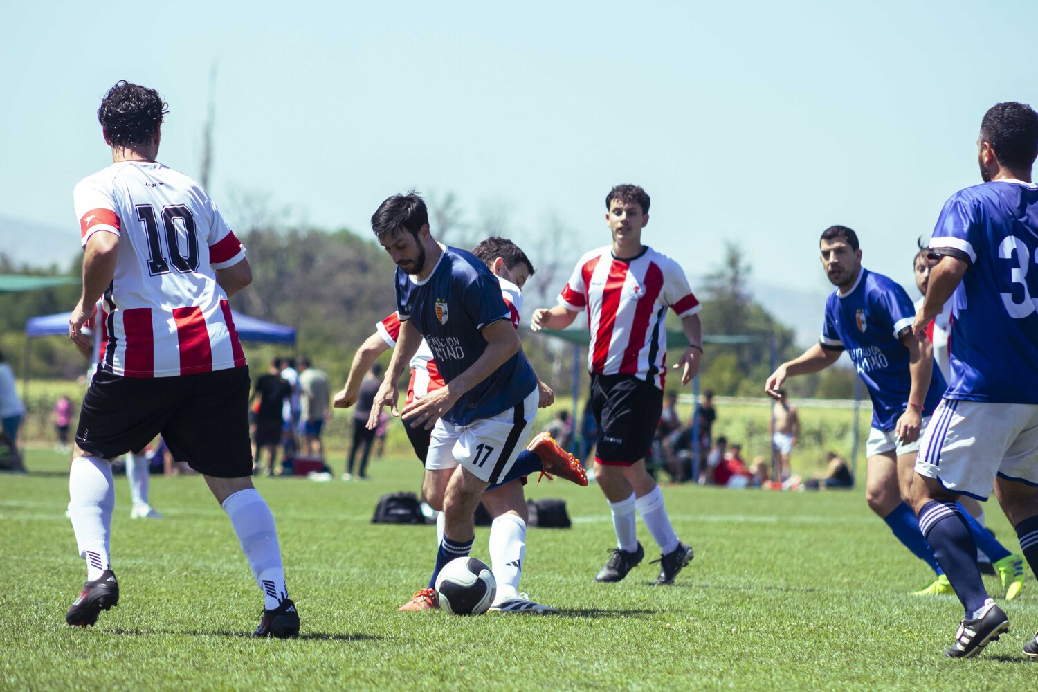 _MG_3223.jpg