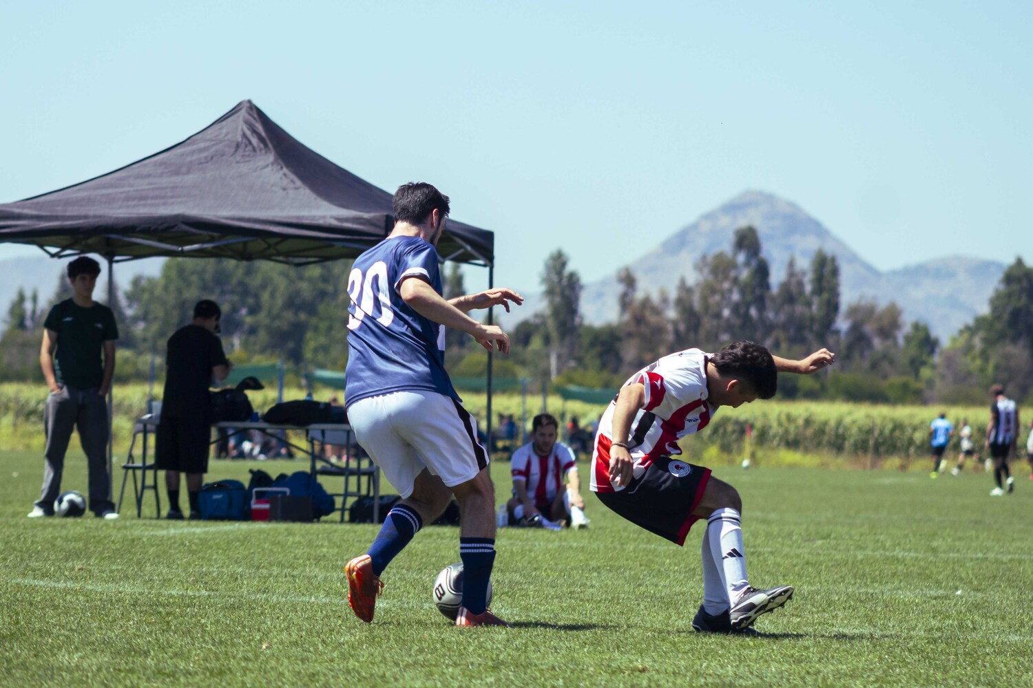 _MG_3232.jpg