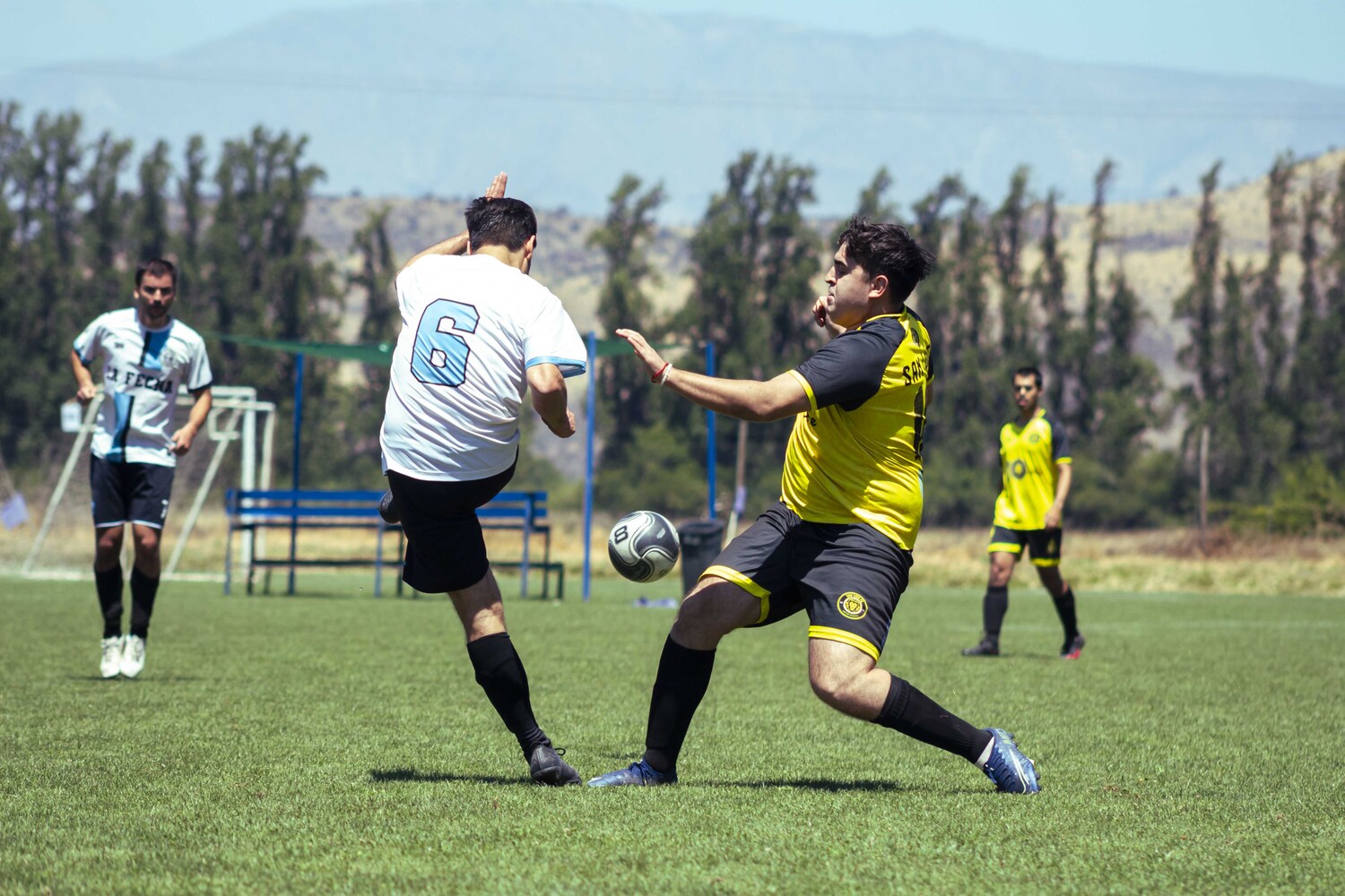 _MG_3255.jpg