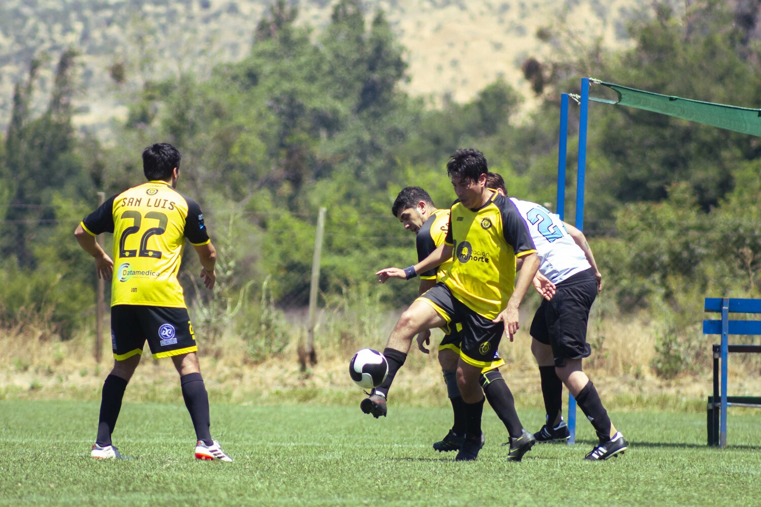 _MG_3276.jpg