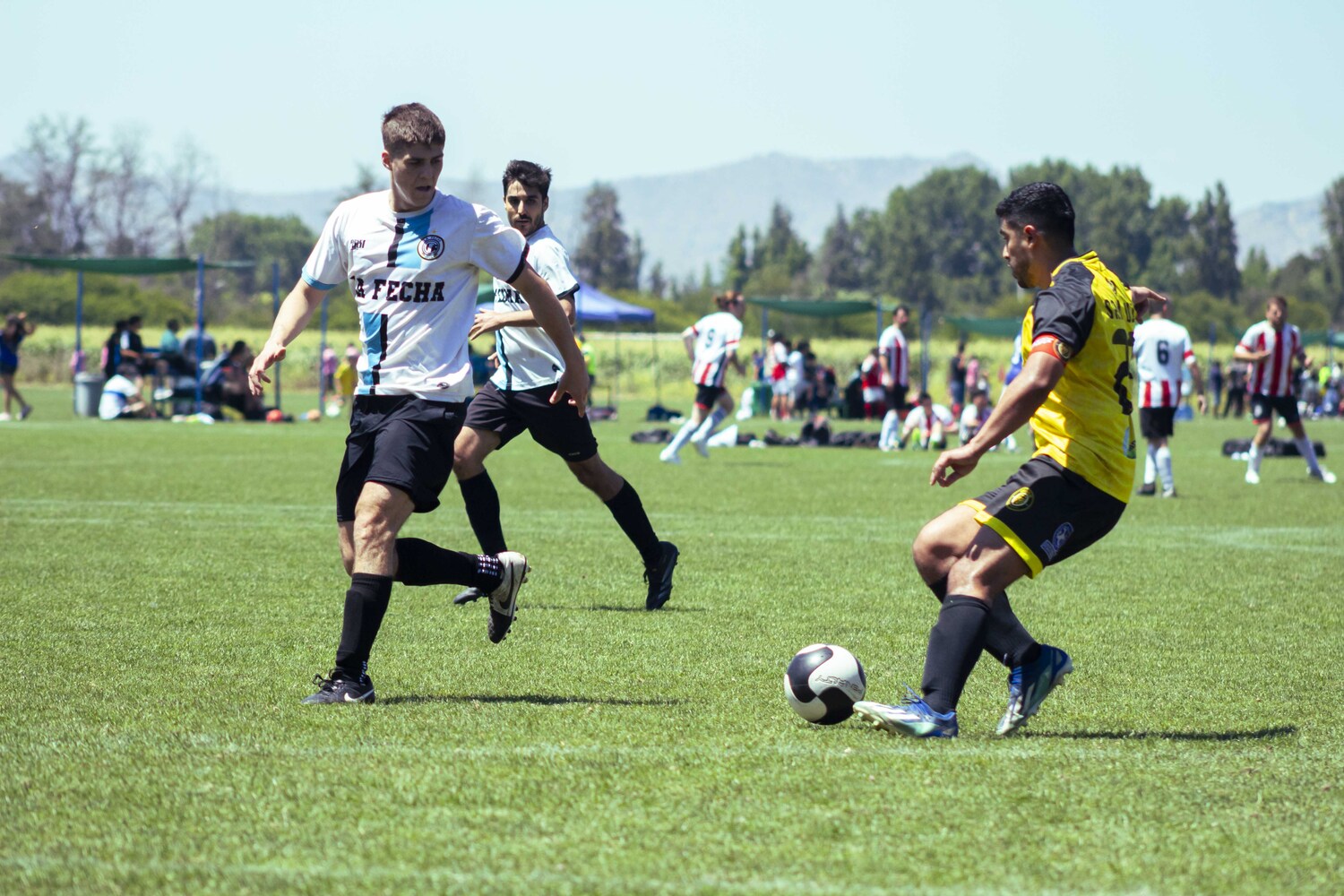 _MG_3284.jpg