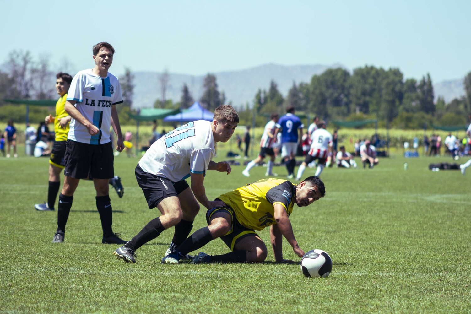 _MG_3285.jpg