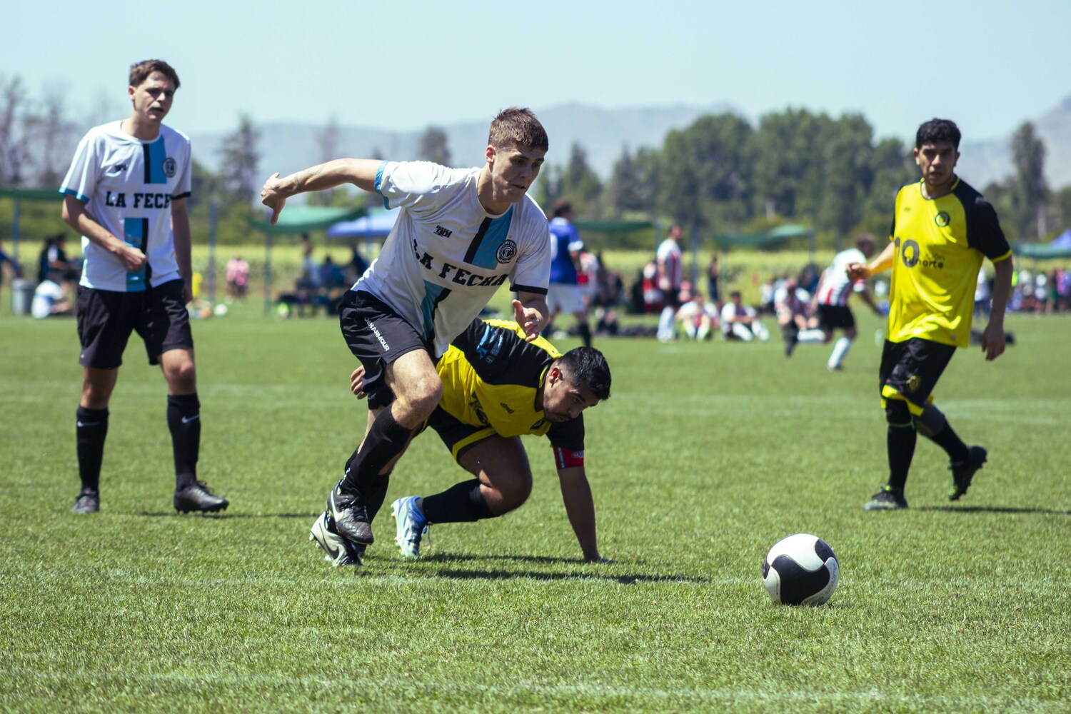 _MG_3286.jpg