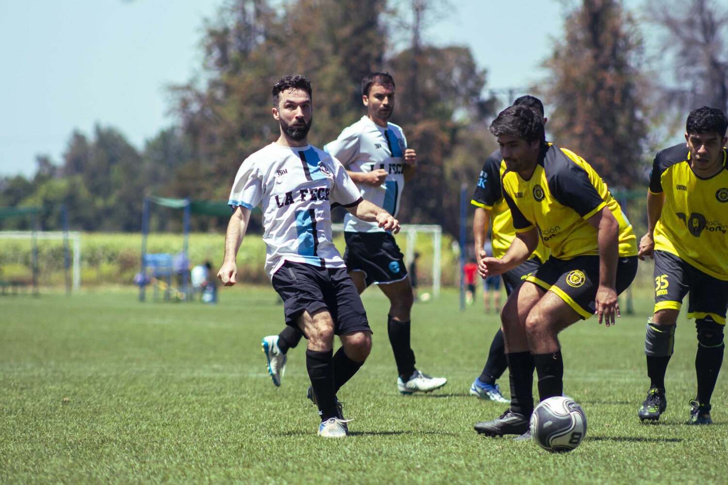 _MG_3288.jpg