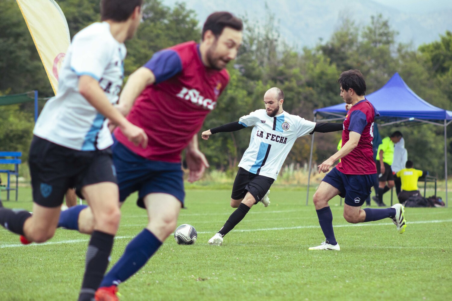 _MG_3824.jpg