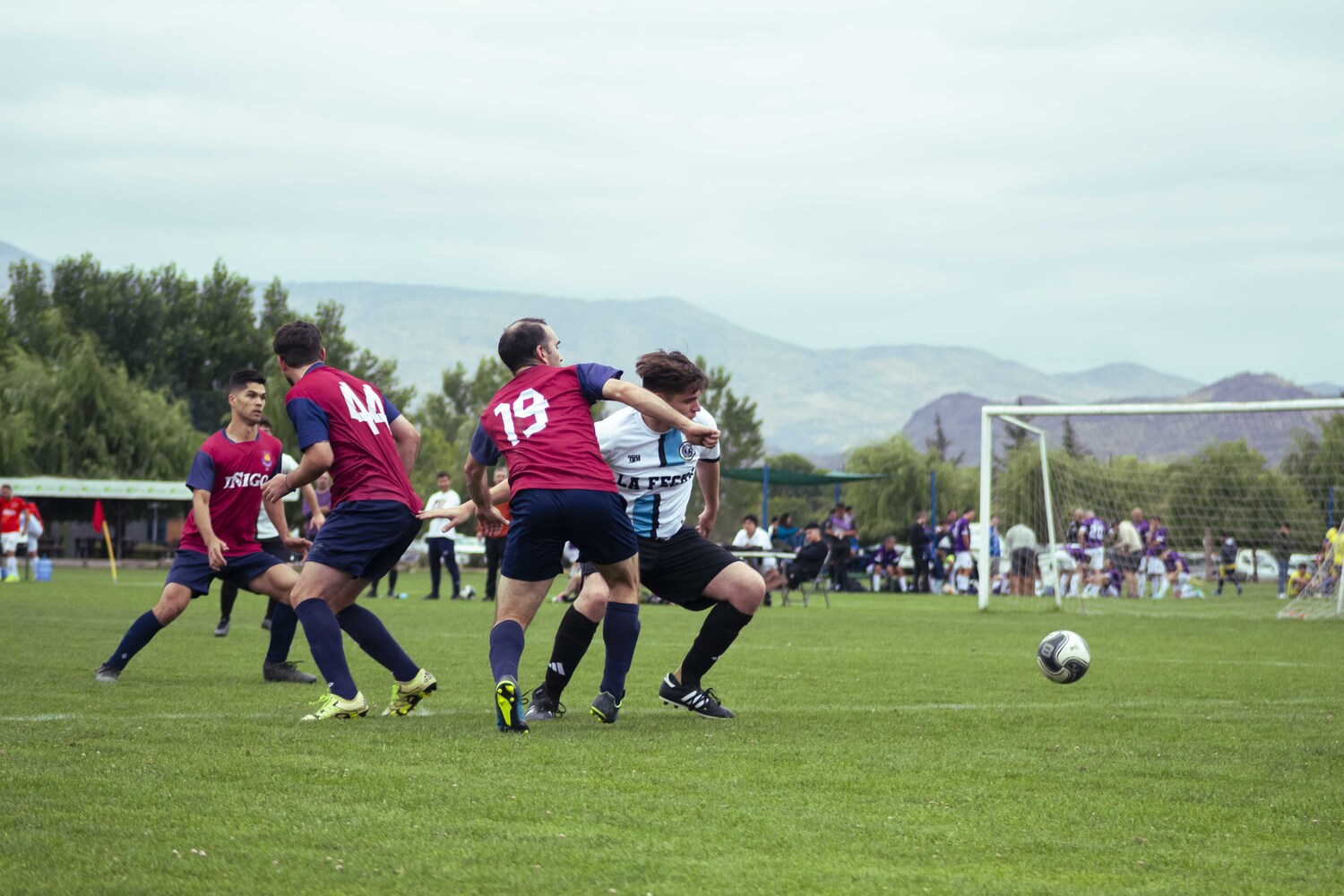 _MG_3826.jpg