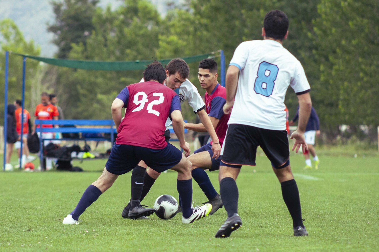 _MG_3831.jpg